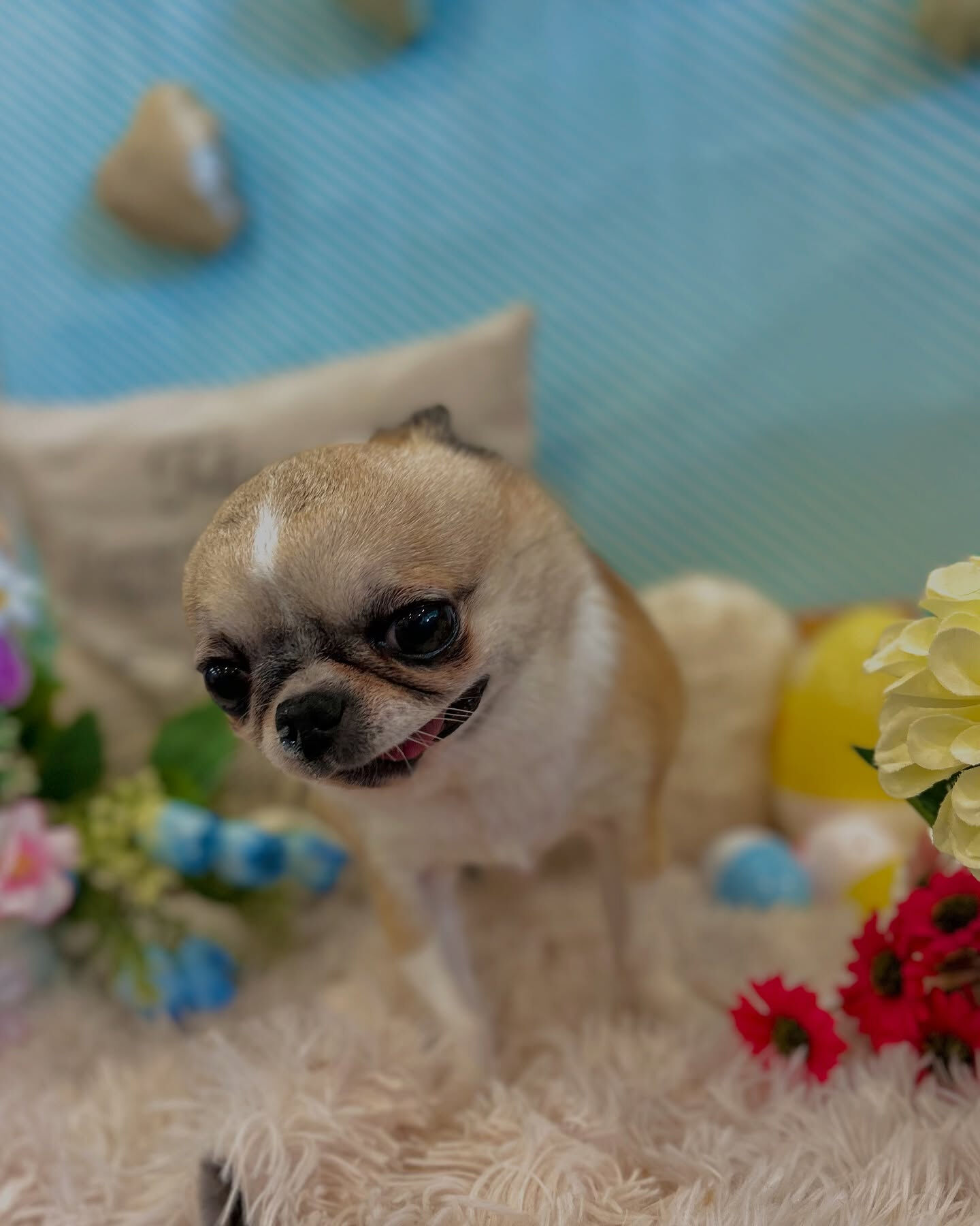 いつもありがとうございます⸜🙌🏻⸝‍💕