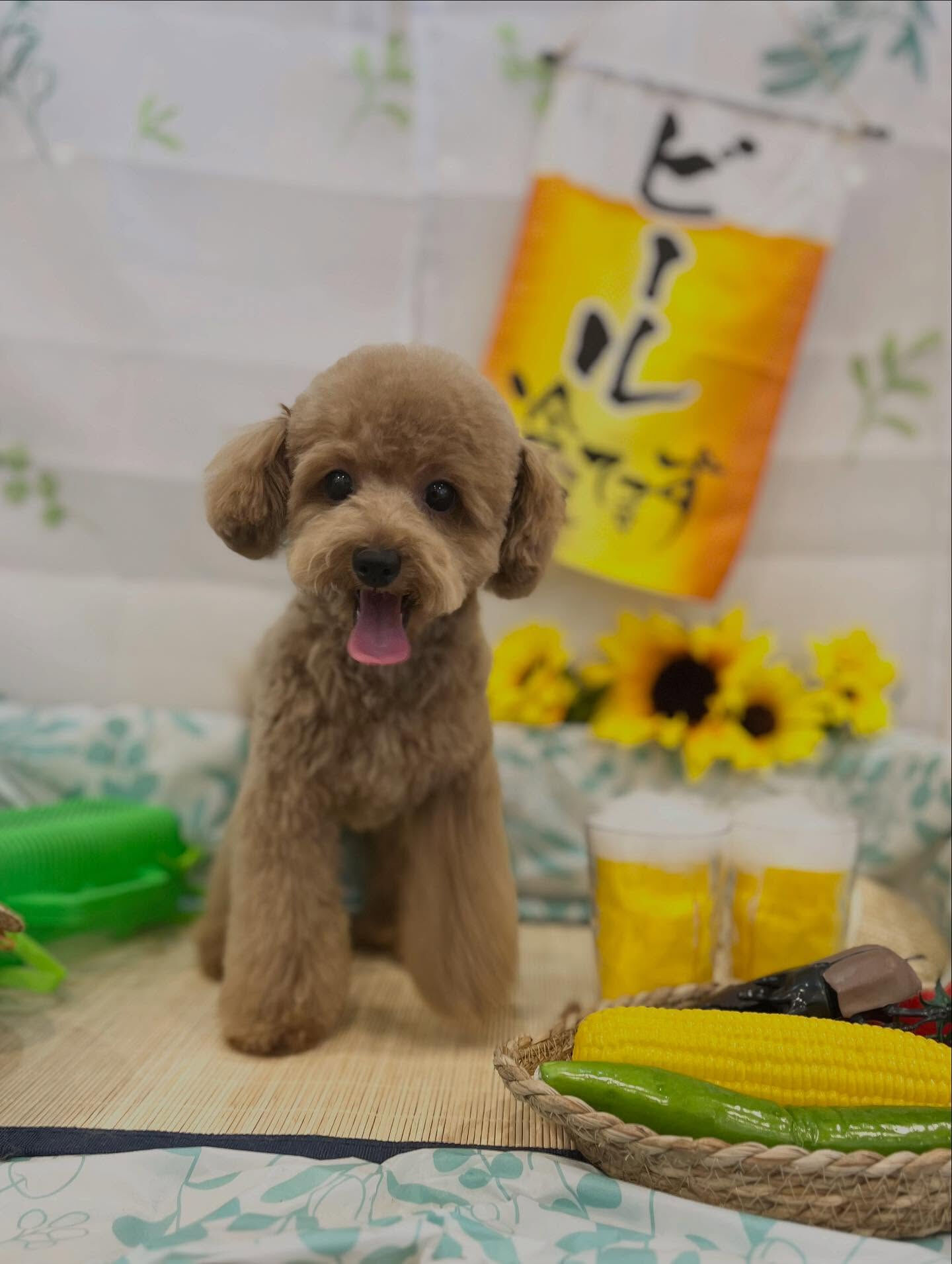 8月入っちゃいました😊