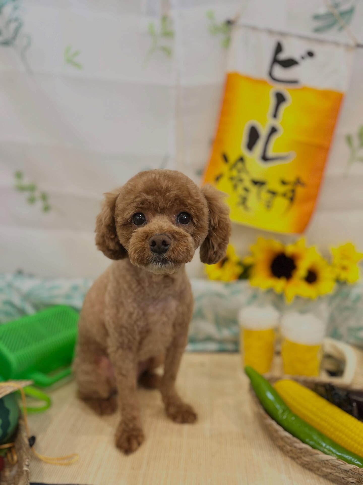 夏休み🌻早く終わらないかなー　笑