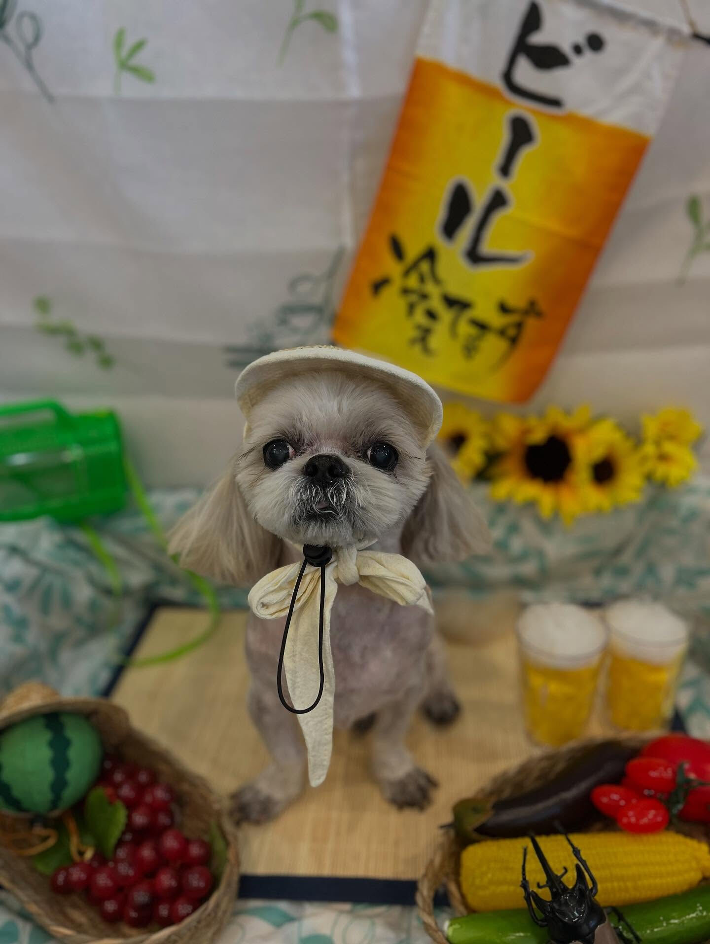 いつもありがとうございます🙇🏻‍♀️✨