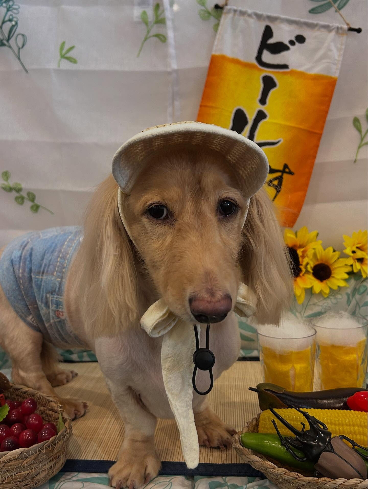 いつもありがとうございます🙇🏻‍♀️✨