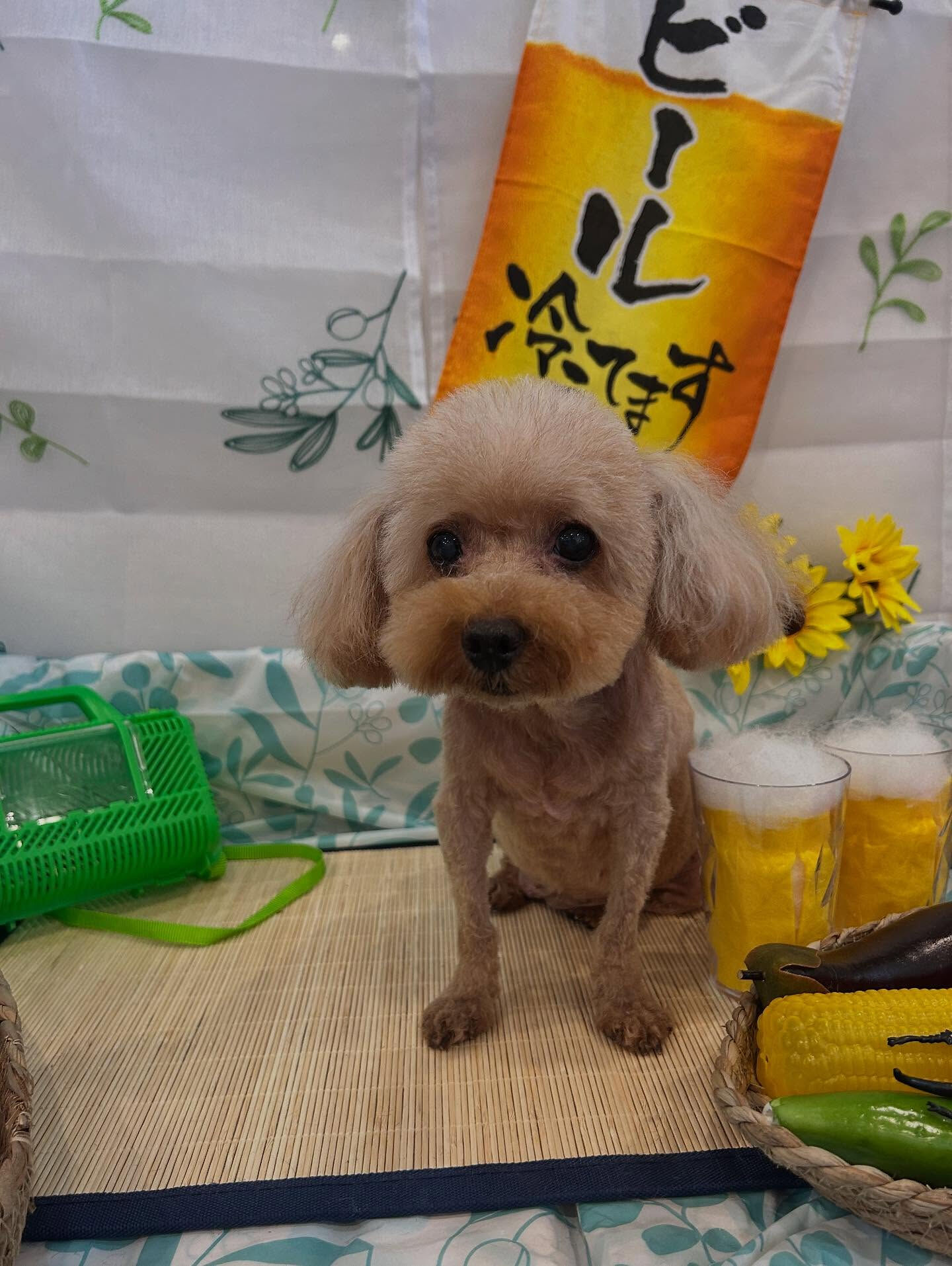 いつもありがとうございます🙇🏻‍♀️✨