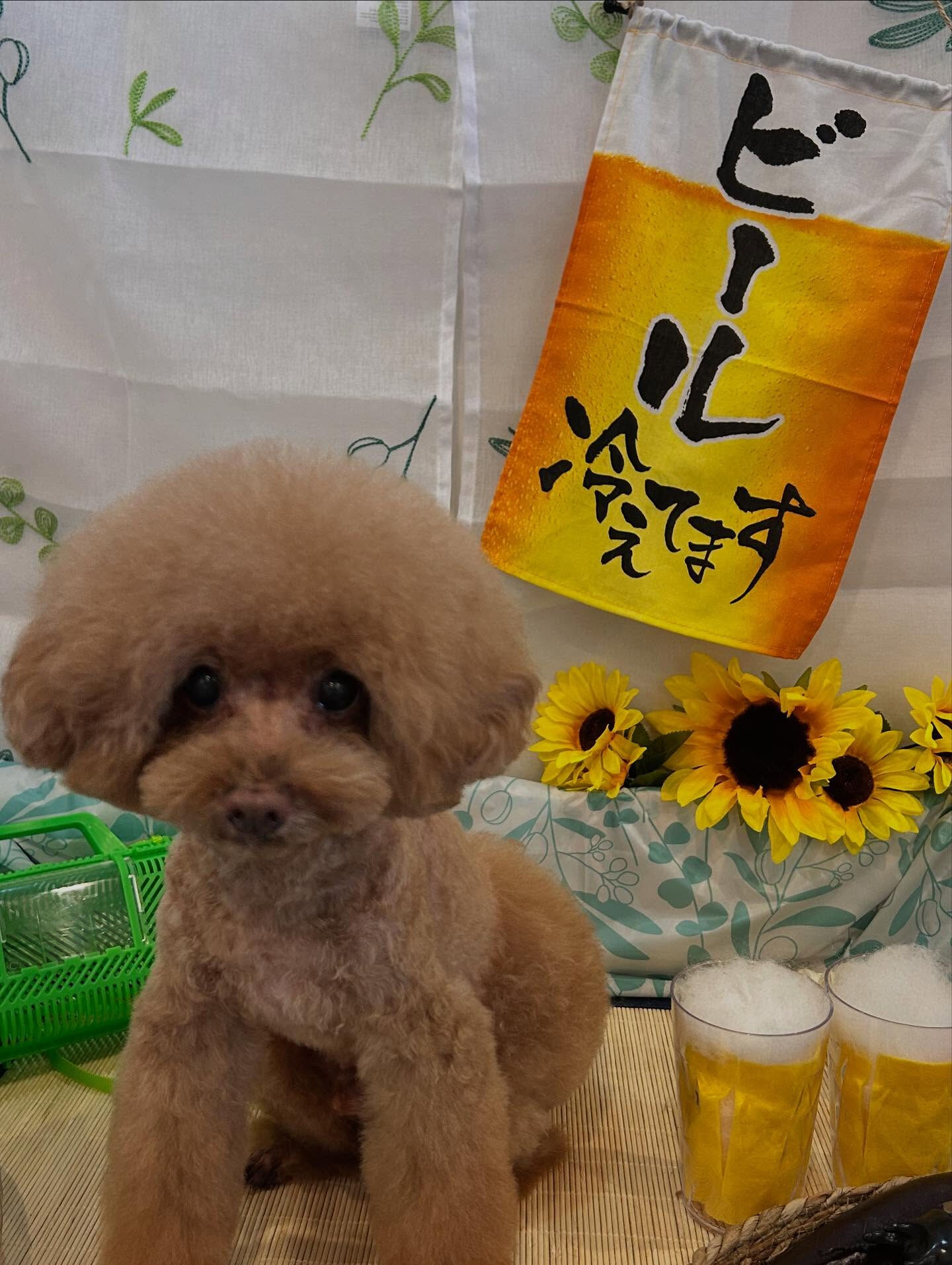 いつもありがとうございます🙇🏻‍♀️✨