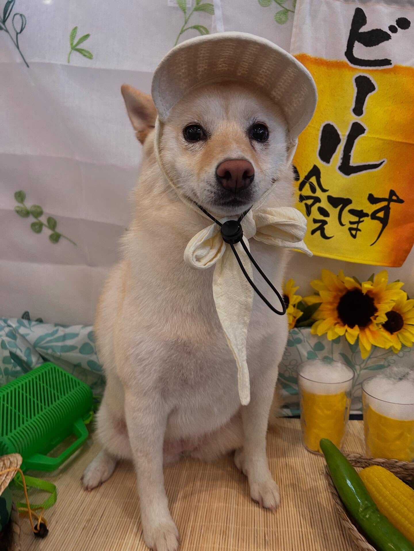いつもありがとうございます🙇🏻‍♀️✨