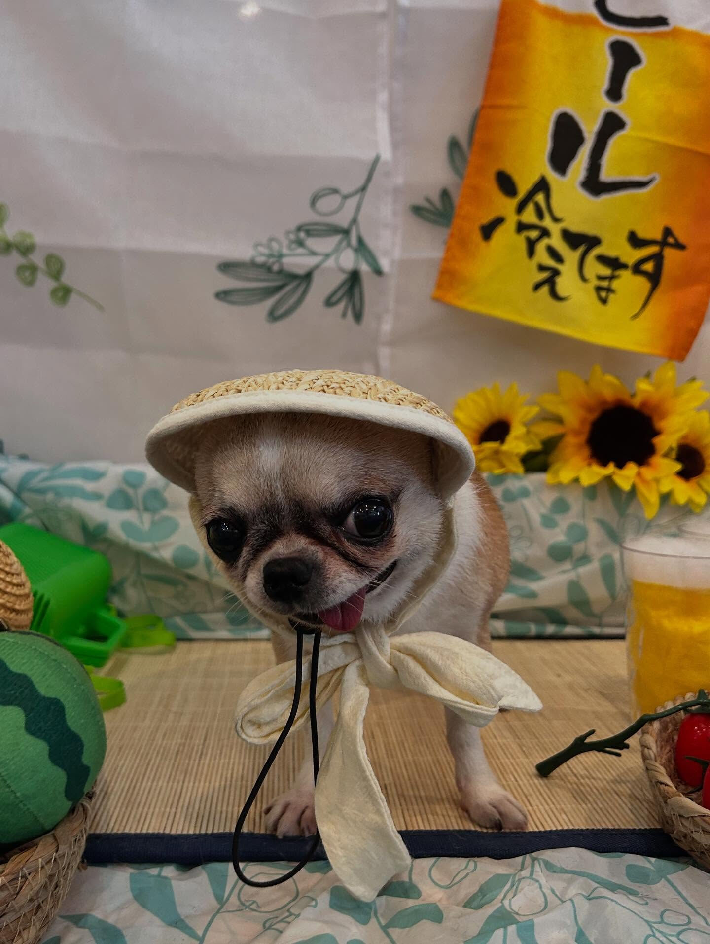 いつもありがとうございます🙇🏻‍♀️✨