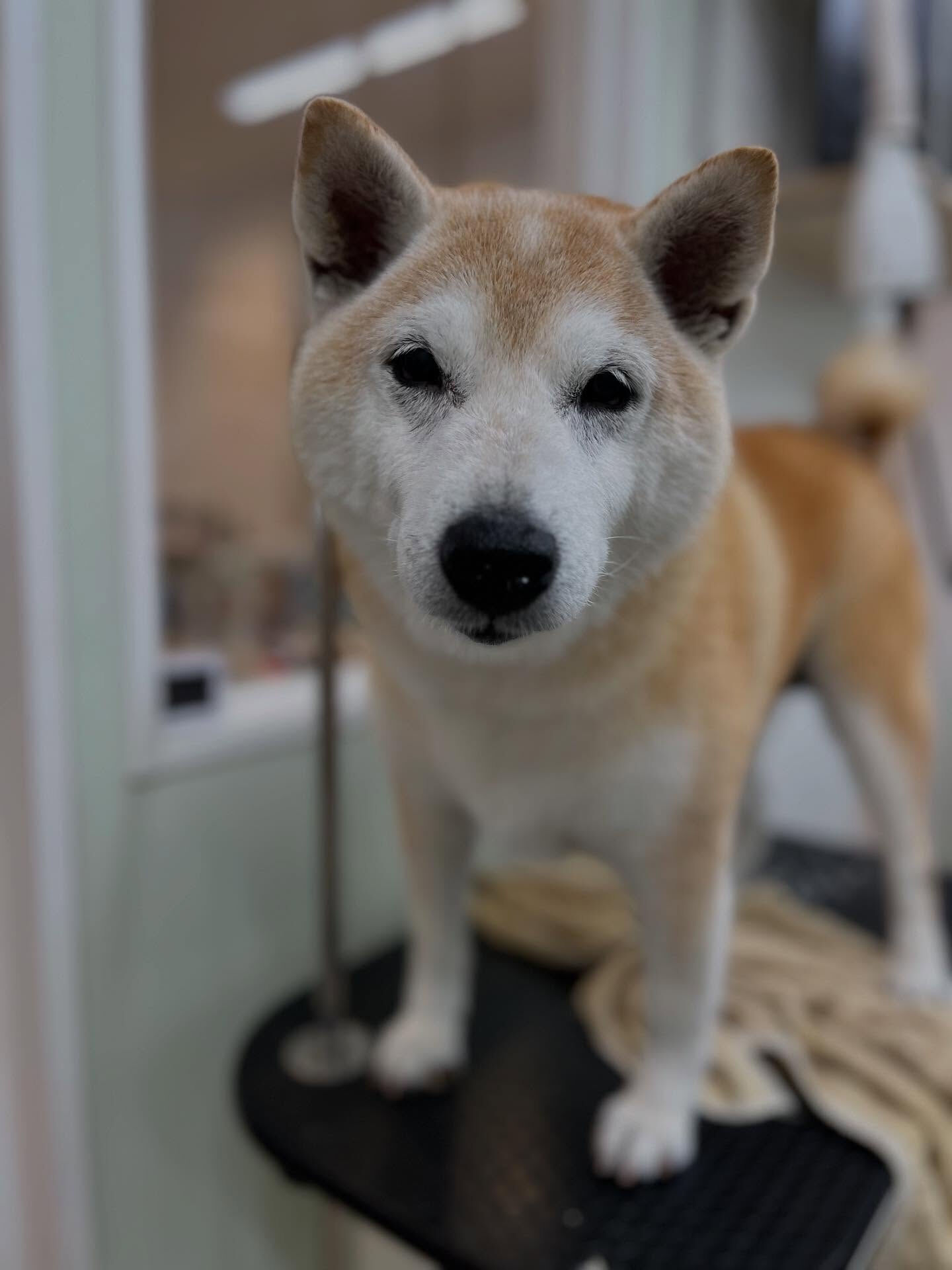 インスタあげるペースが遅くてすみません🙇‍♀️