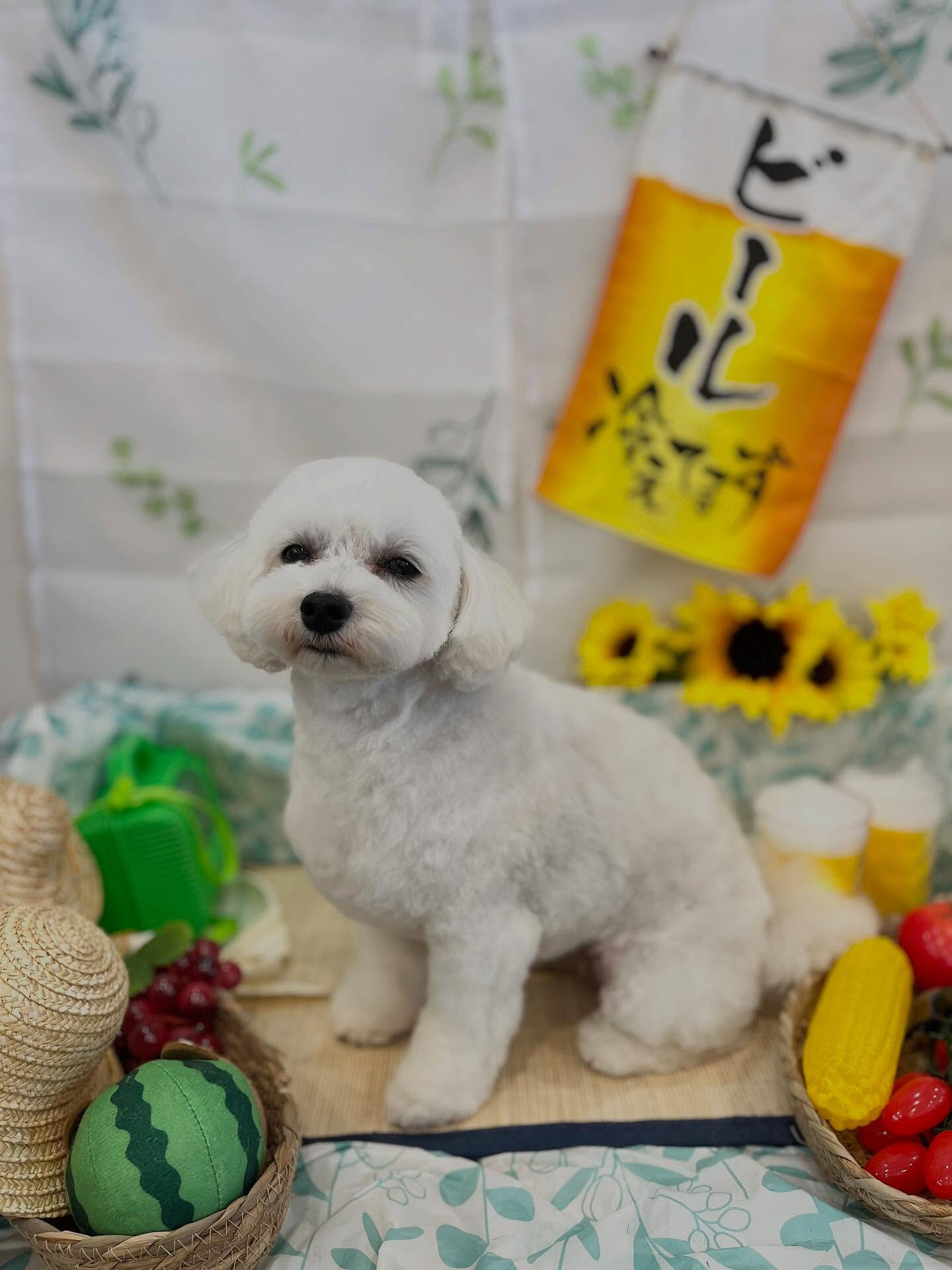 インスタあげるペースが遅くてすみません🙇‍♀️