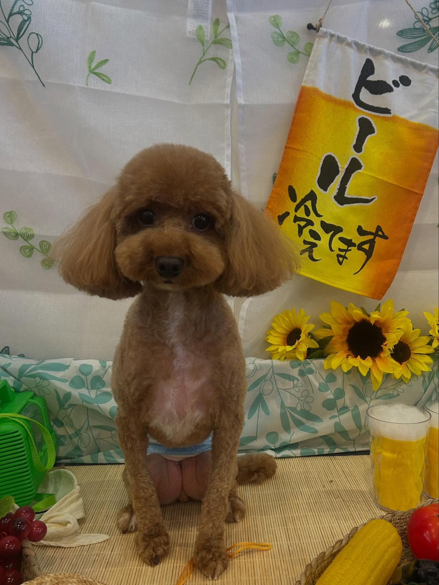 いつもありがとうございます🙇🏻‍♀️✨