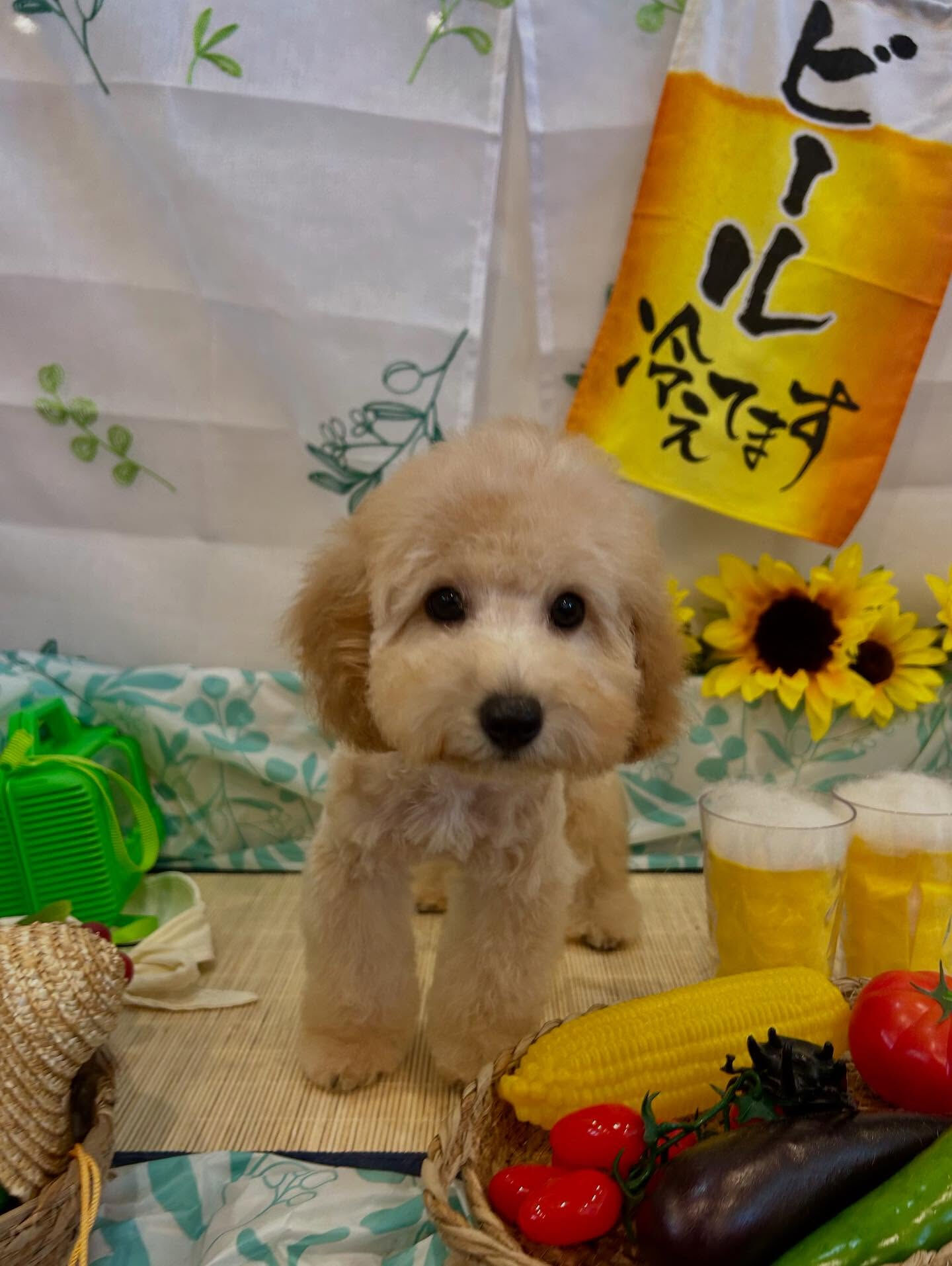 いつもありがとうございます🙇🏻‍♀️✨