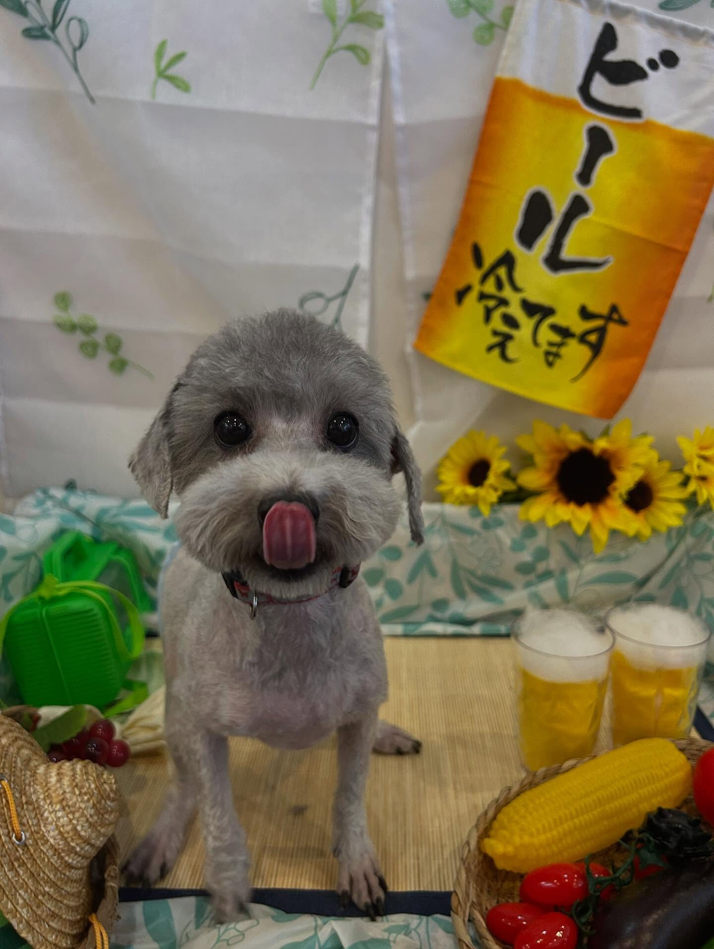 いつもありがとうございます🙇🏻‍♀️✨