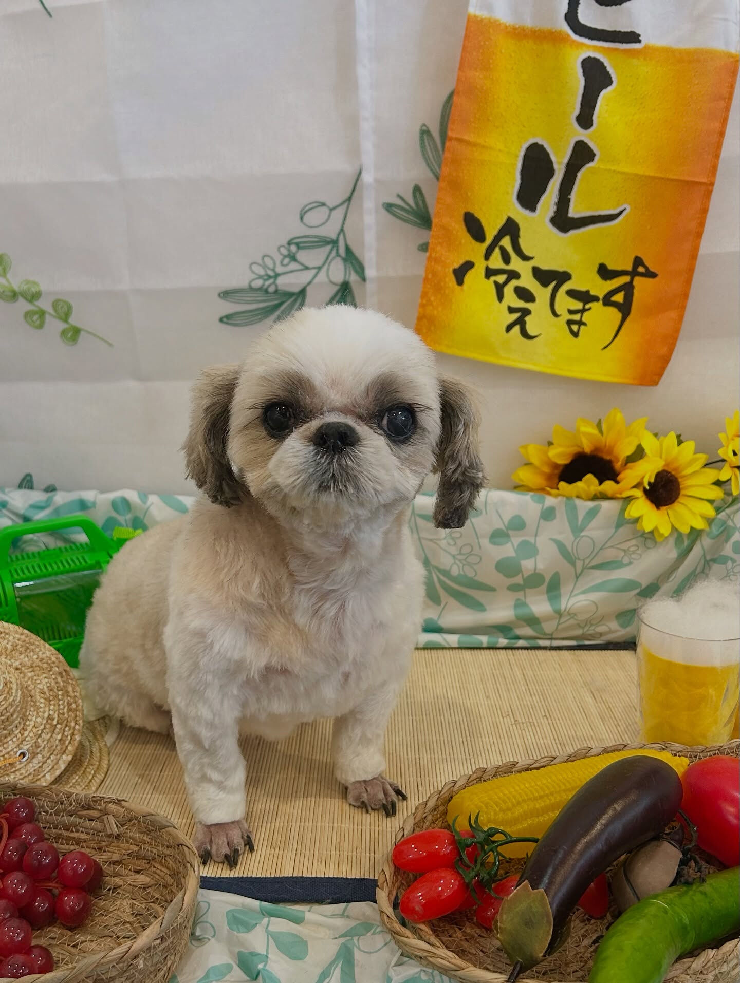 いつもありがとうございます🙇🏻‍♀️✨