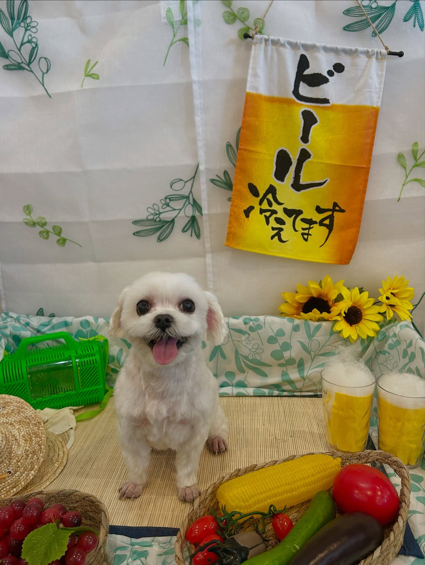 いつもありがとうございます🙇🏻‍♀️✨