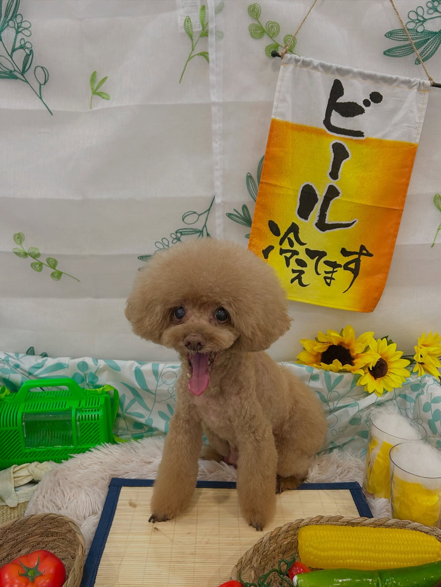 いつもありがとうございます🙇🏻‍♀️✨