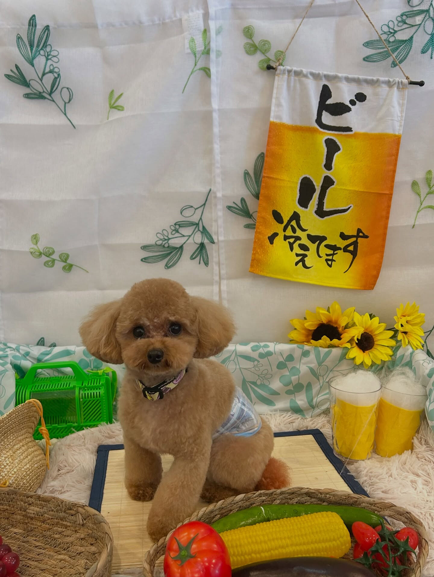 いつもありがとうございます🙇🏻‍♀️✨