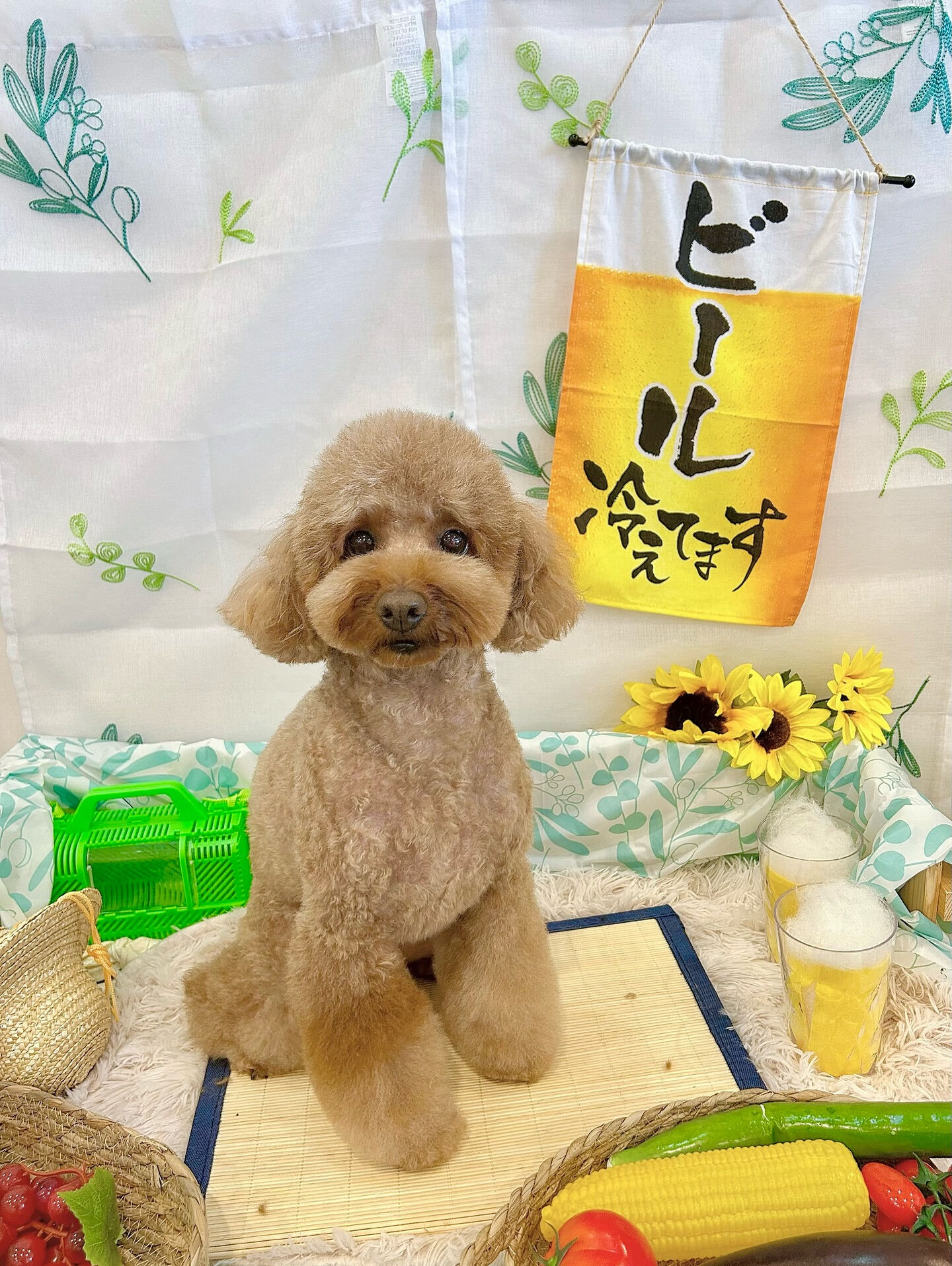 いつもありがとうございます🙇🏻‍♀️✨
