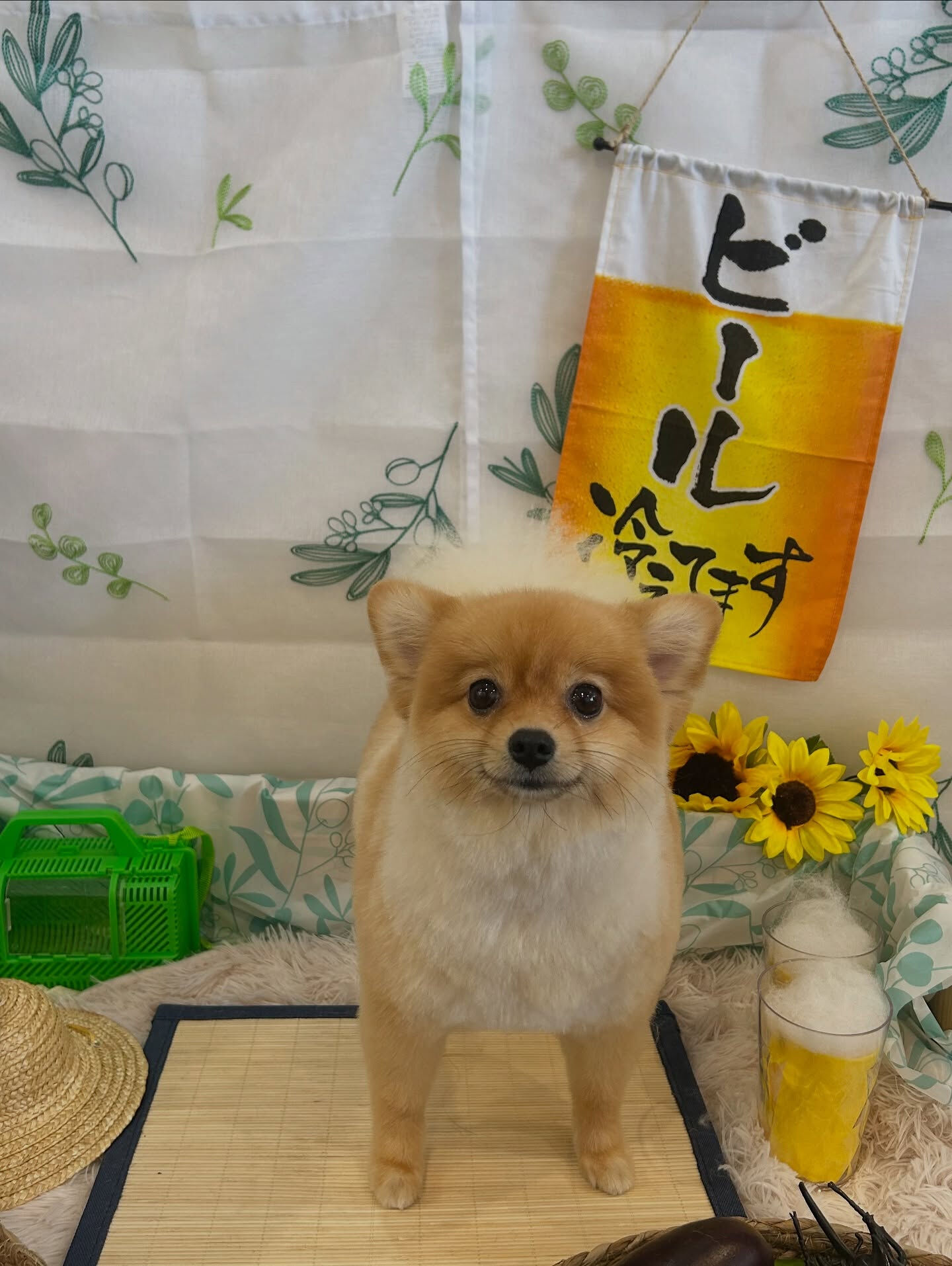 いつもありがとうございます🙇🏻‍♀️✨