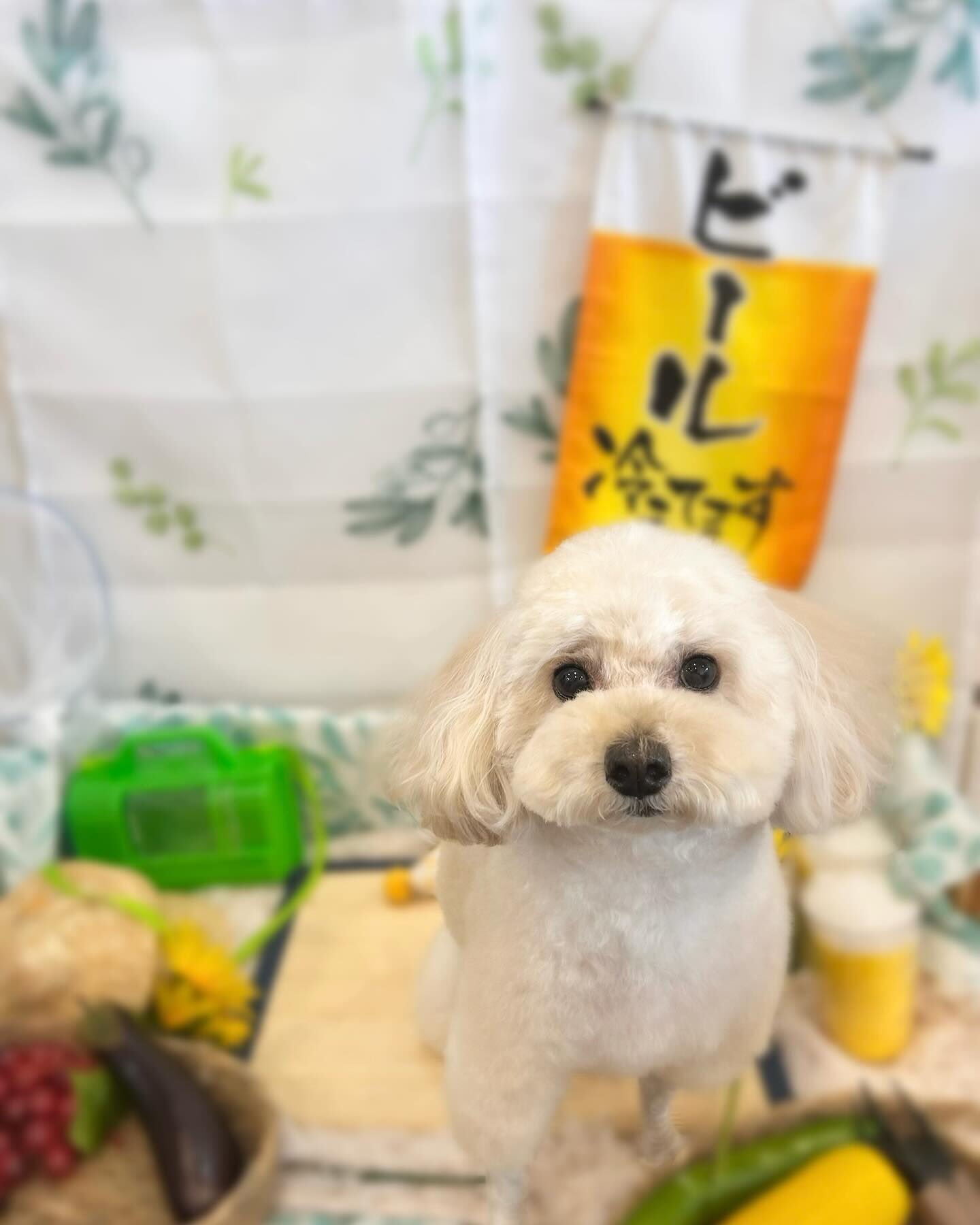 連続投稿で申し訳ありません🙇🏻‍♀️💦