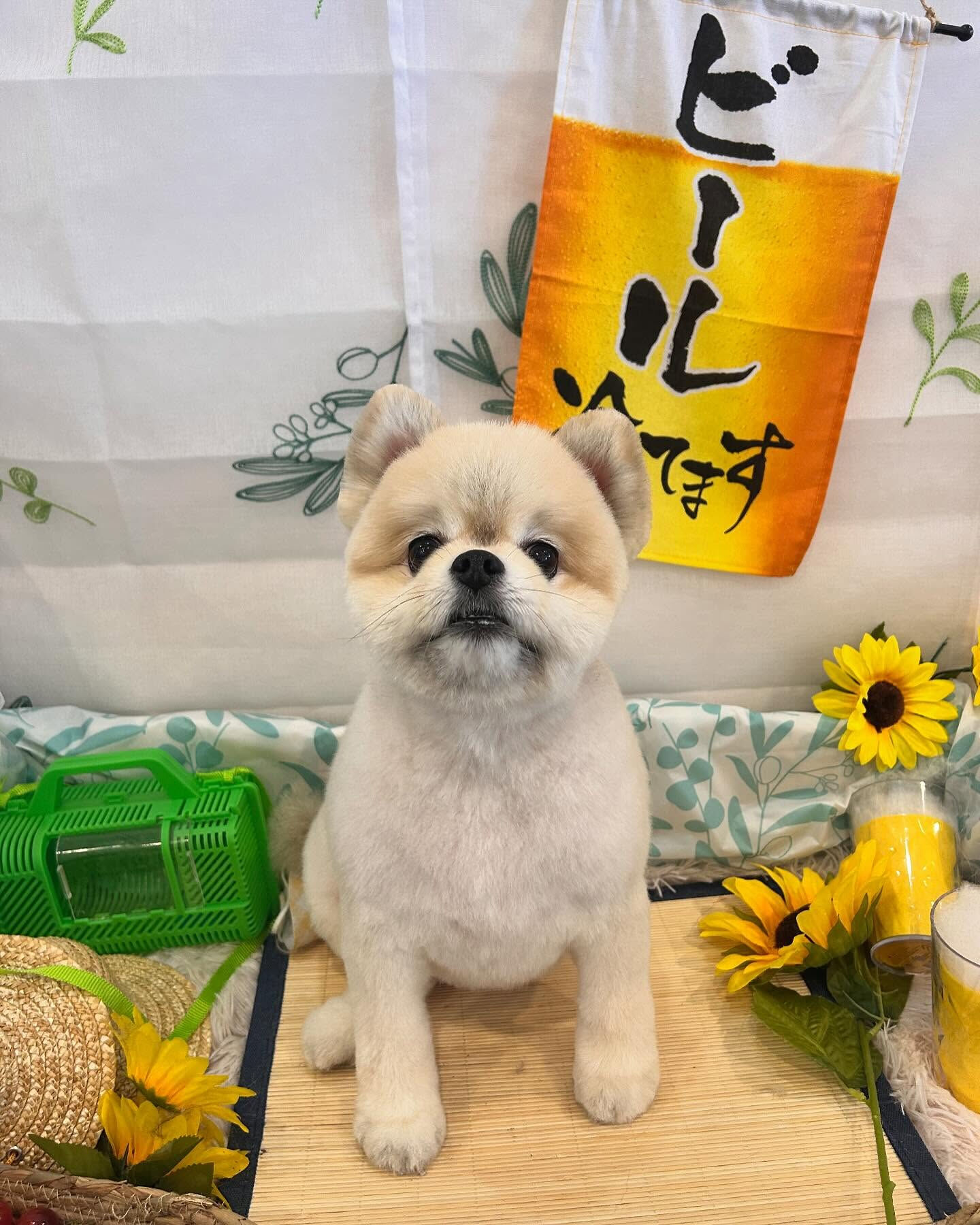 連続投稿で申し訳ありません🙇🏻‍♀️💦