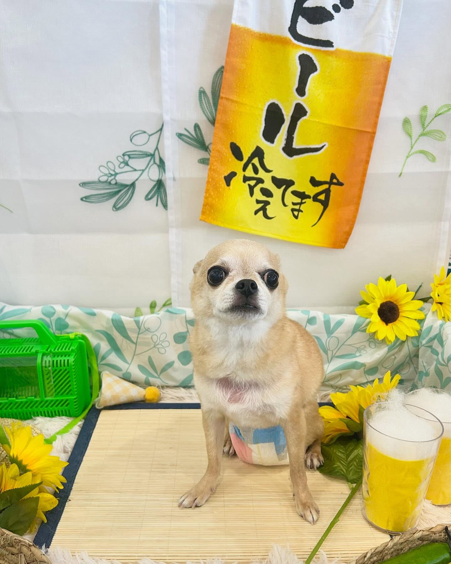 連続投稿で申し訳ありません🙇🏻‍♀️💦
