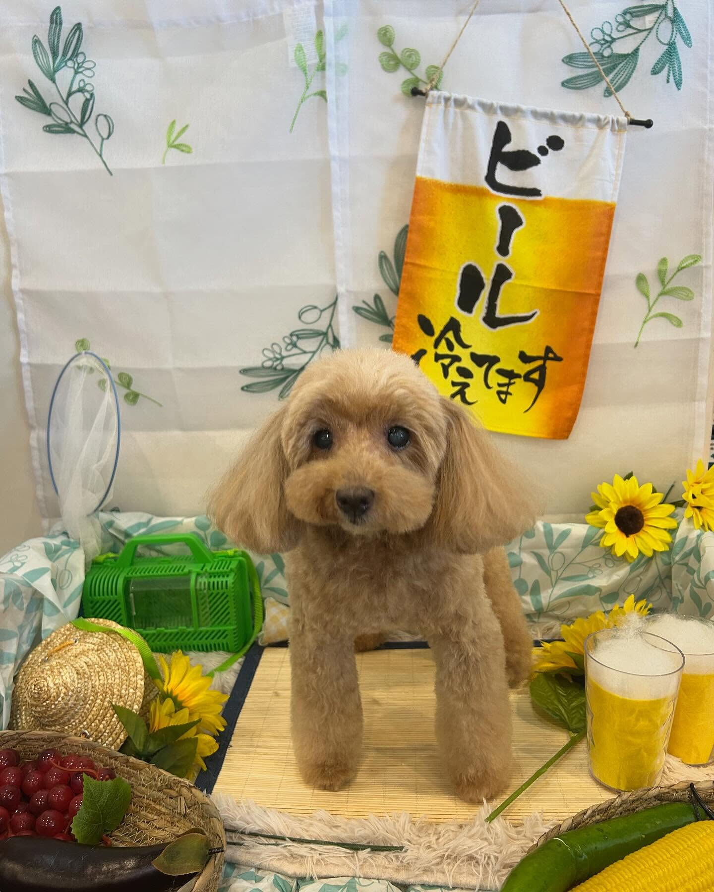 連続投稿で申し訳ありません🙇🏻‍♀️💦