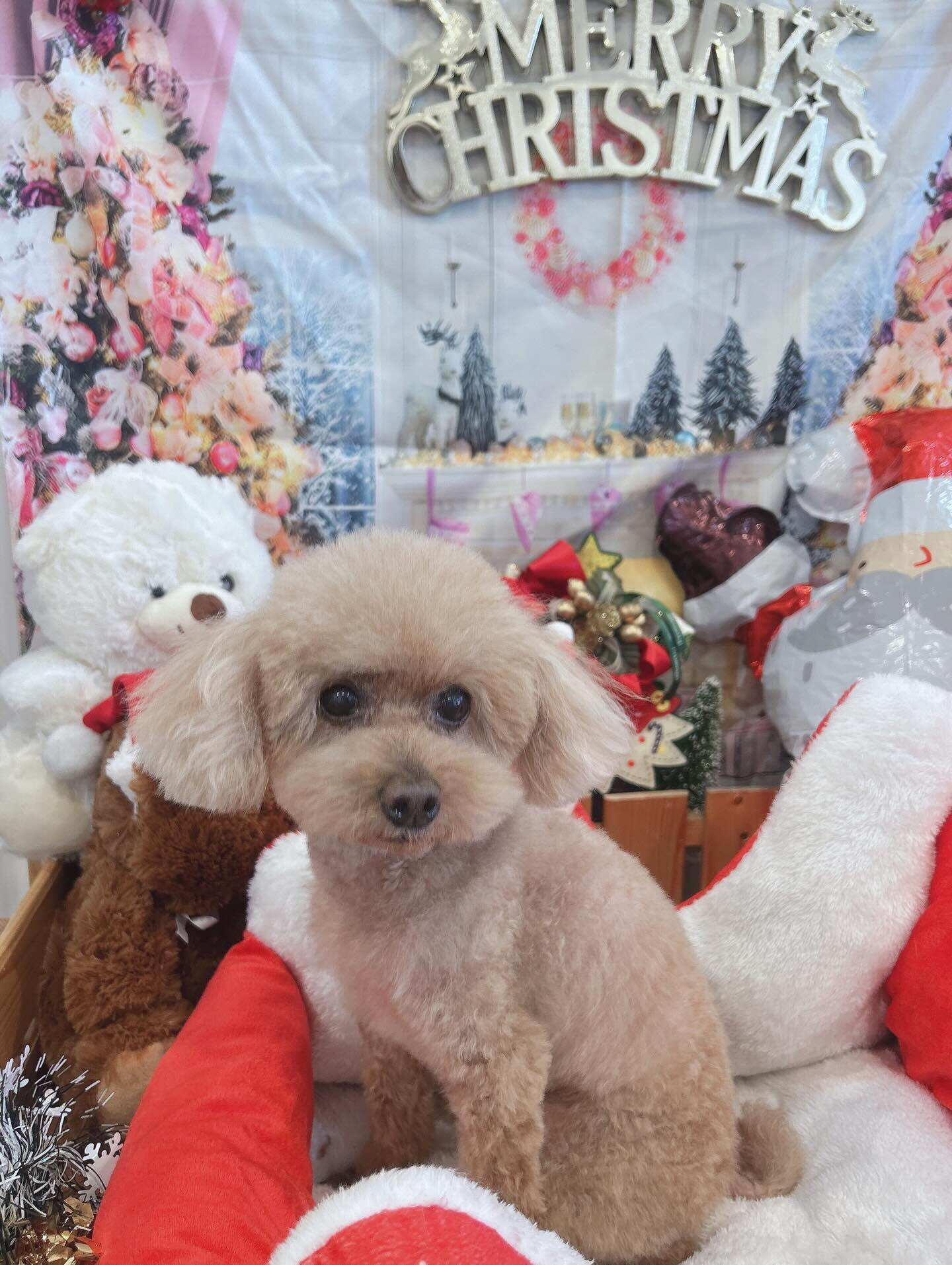 いつもありがとうございます🙇🏻‍♀️‪‪´-