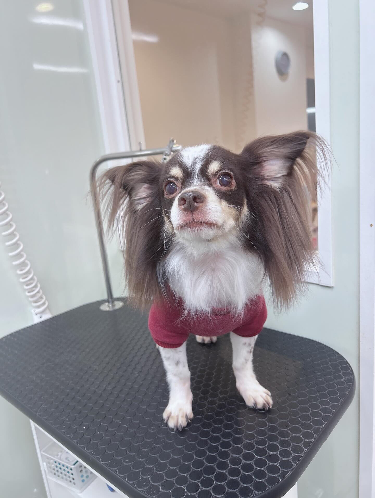 いつもありがとうございます🙇🏻‍♀️‪‪´-