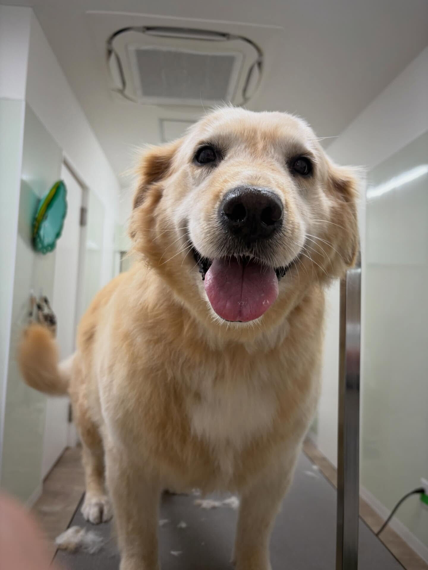 今年も残りわずかとなりました