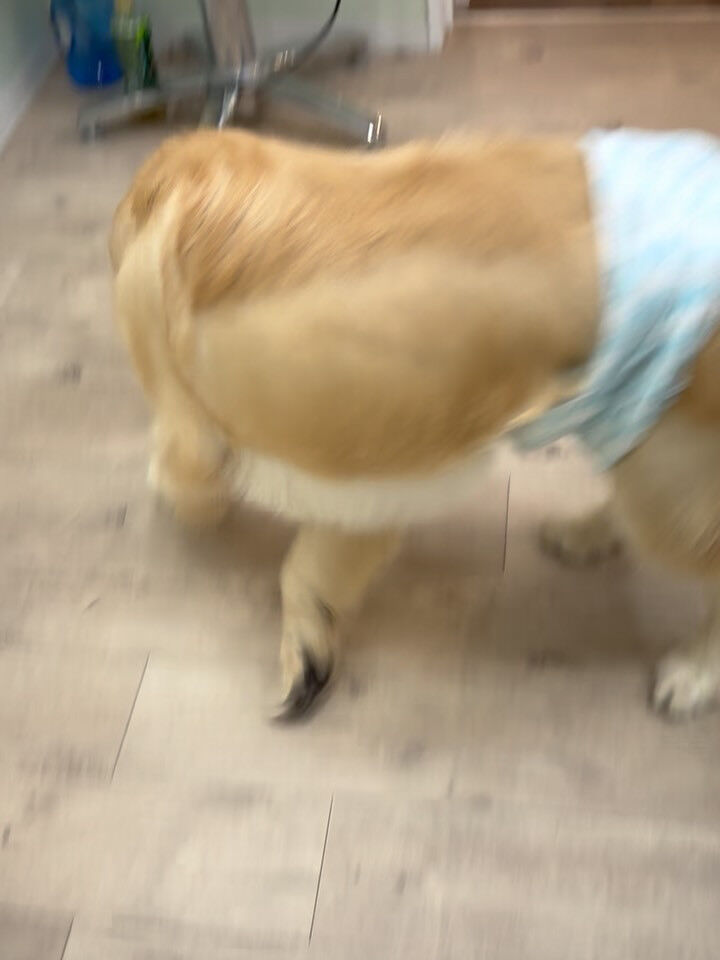 今年も残りわずかとなりました
