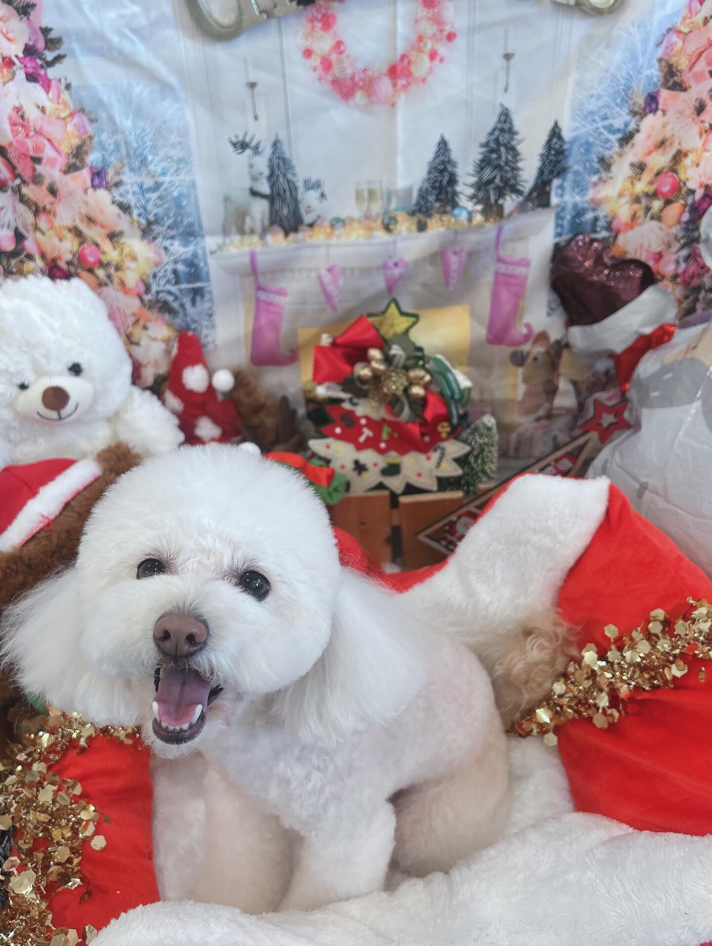 ✧*｡🎄𝐌𝐞𝐫𝐫𝐲𝐂𝐡𝐫𝐢𝐬𝐭𝐦𝐚𝐬🎄✧*｡