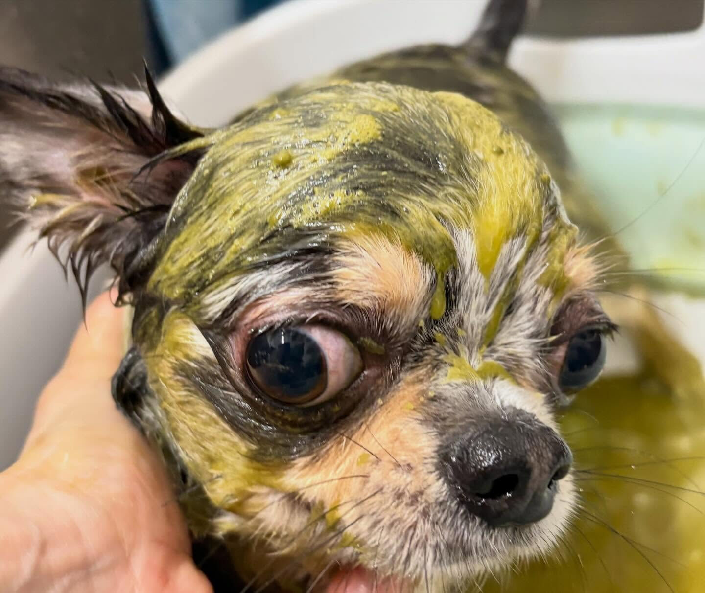 遅くなりました💦