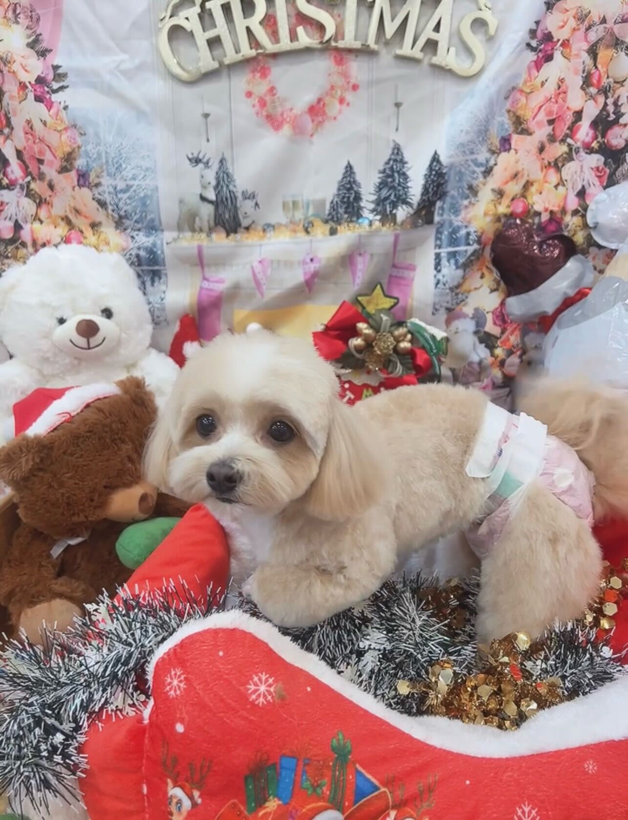 いつもありがとうございます🙇🏻‍♀️︎💕︎