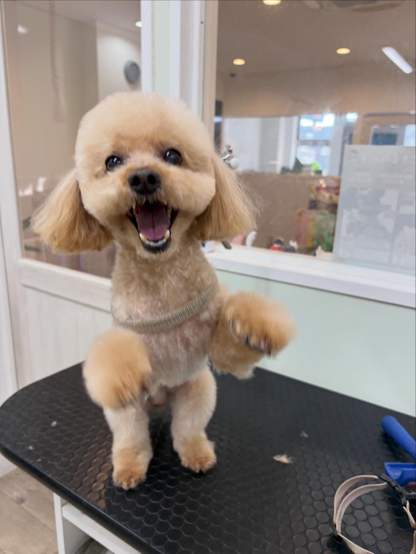 今年もあと２日です