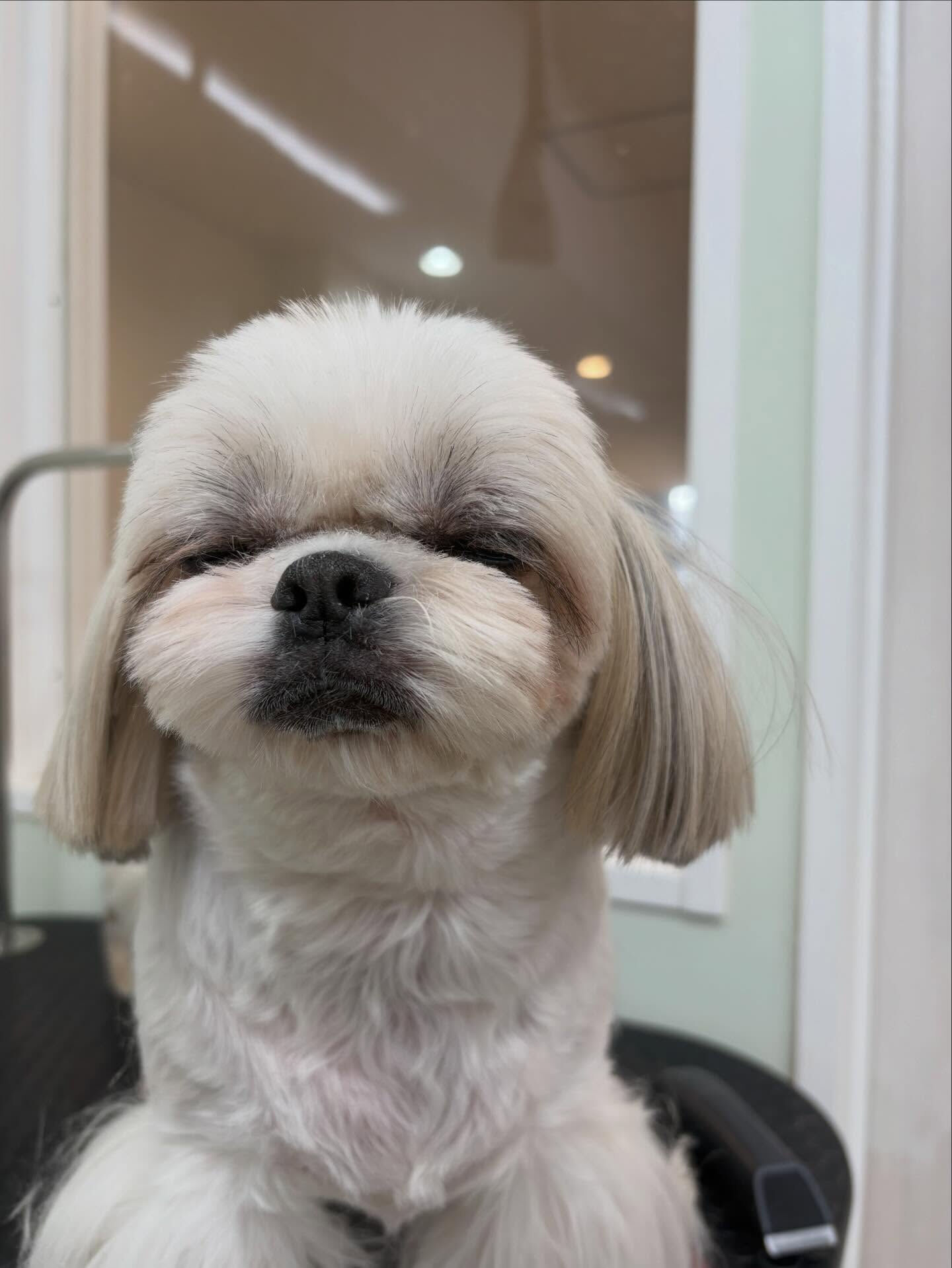 冬は寝ても寝ても眠いです💤笑
