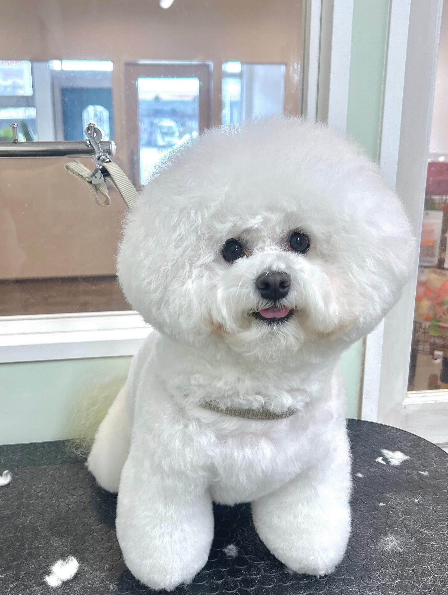 いつもありがとうございます⸜🌷︎⸝‍