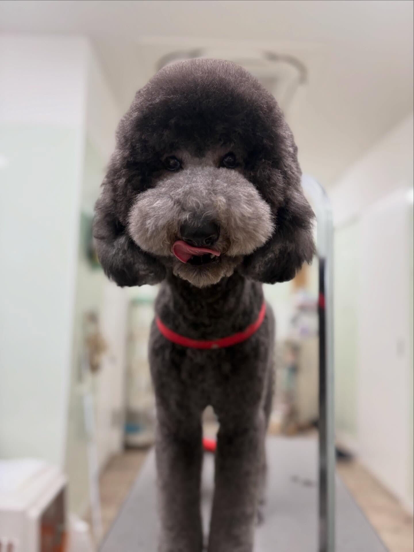 少し寒いですね、