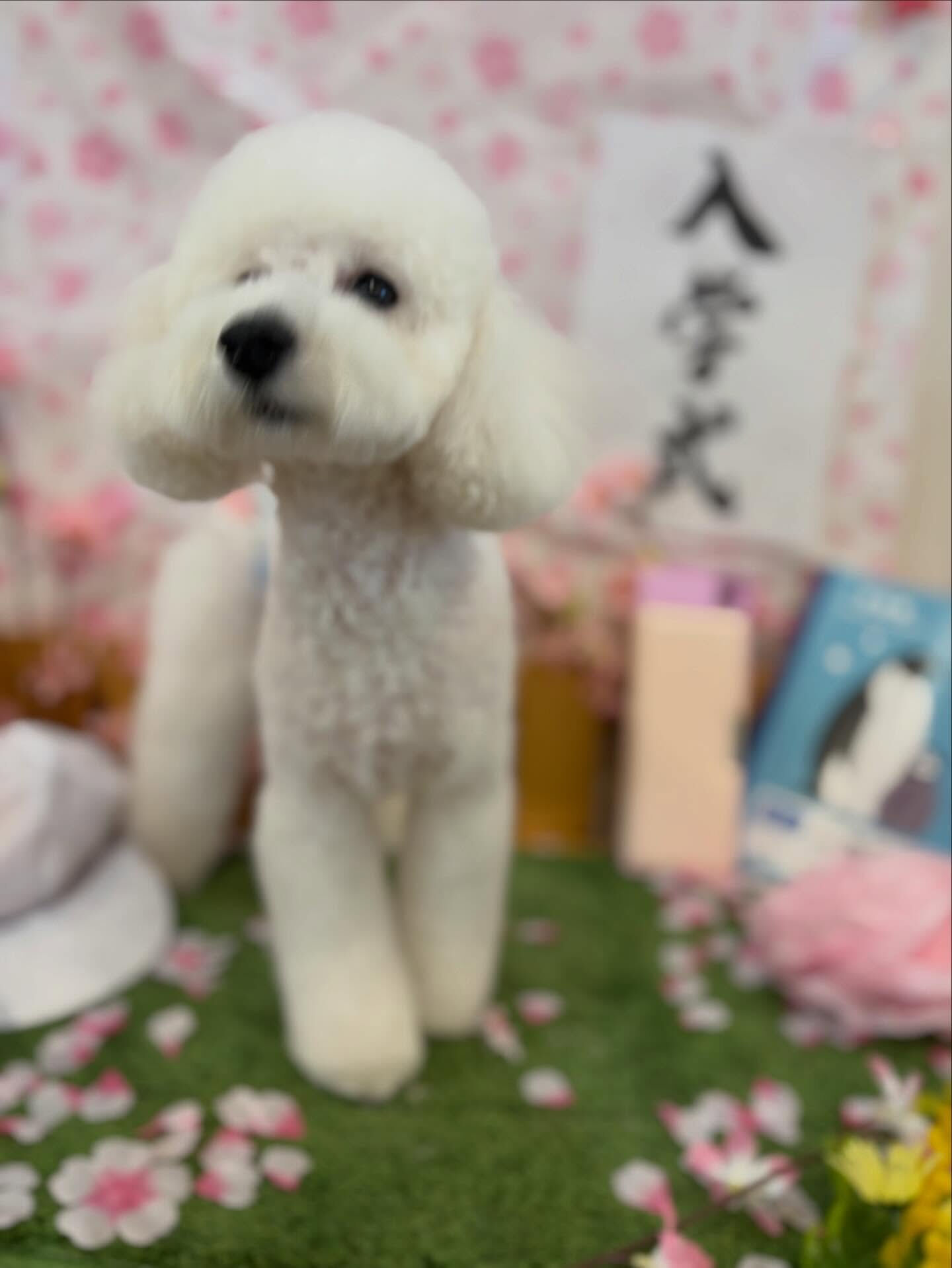 少し寒いですね、