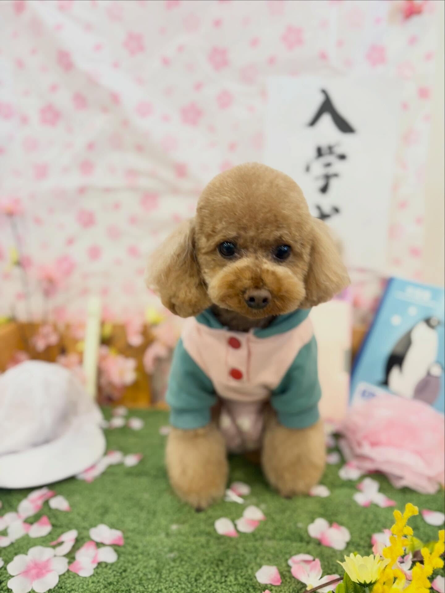 少し寒いですね、