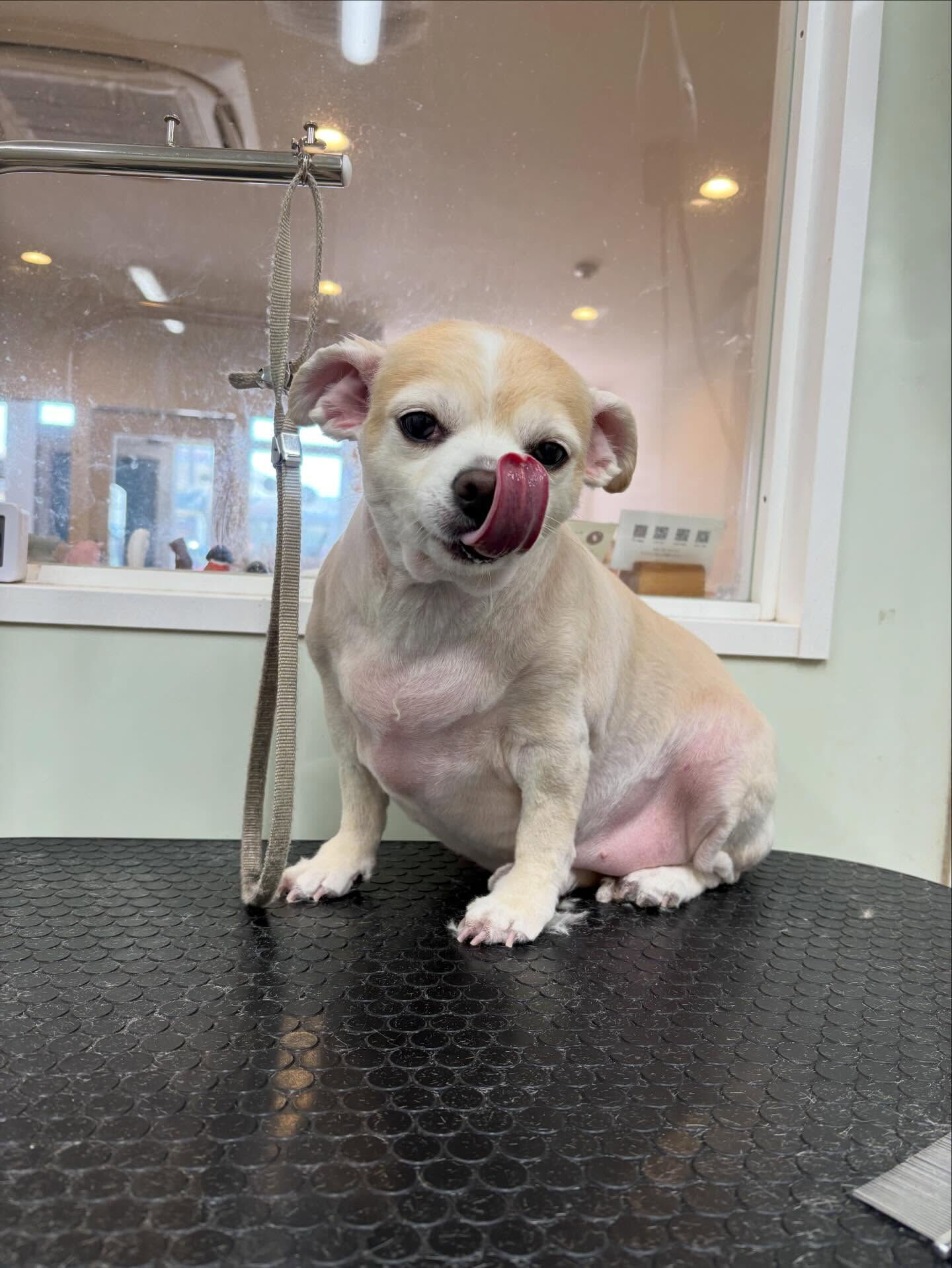 おはようございます♪