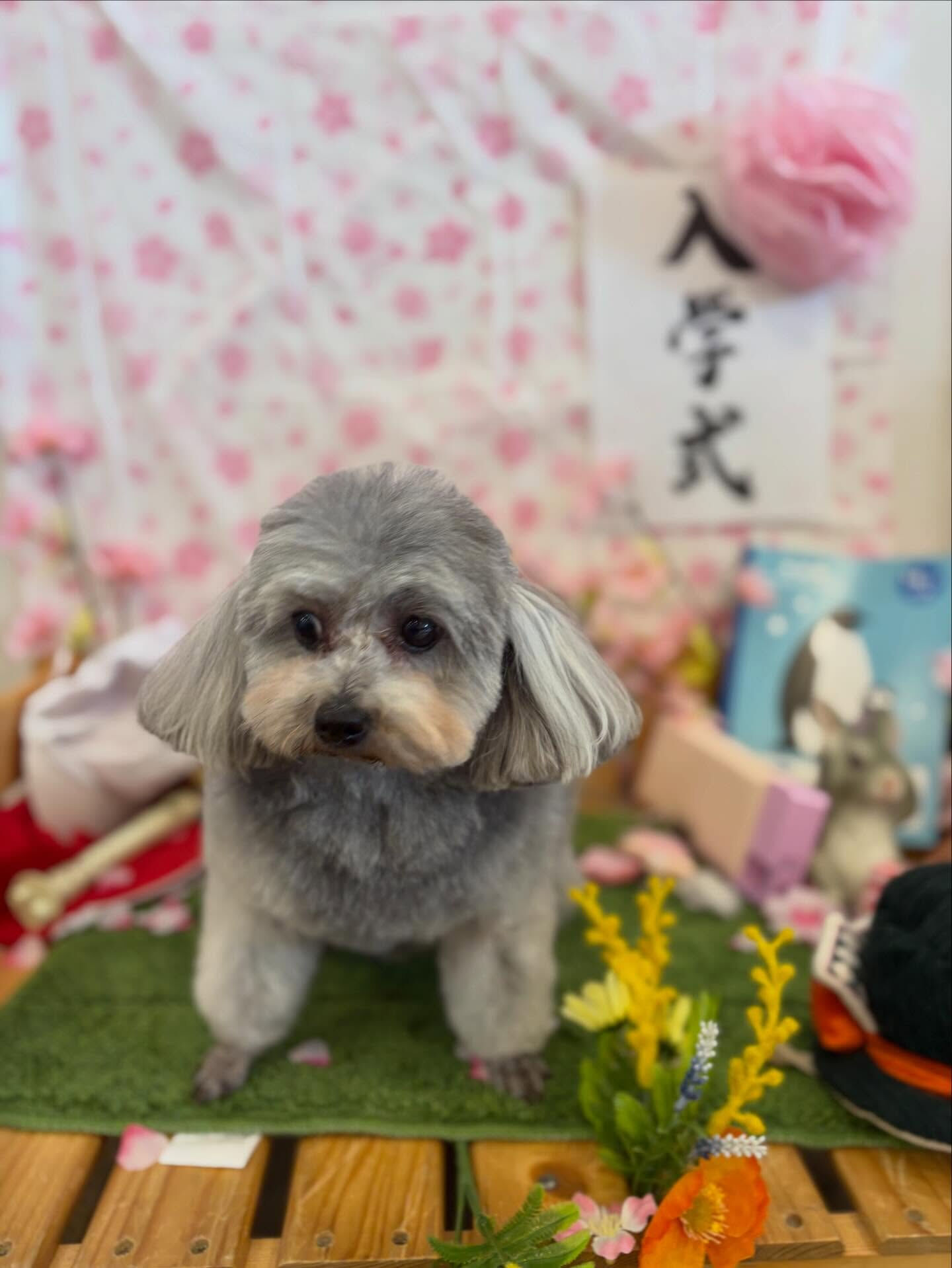 おはようございます♪