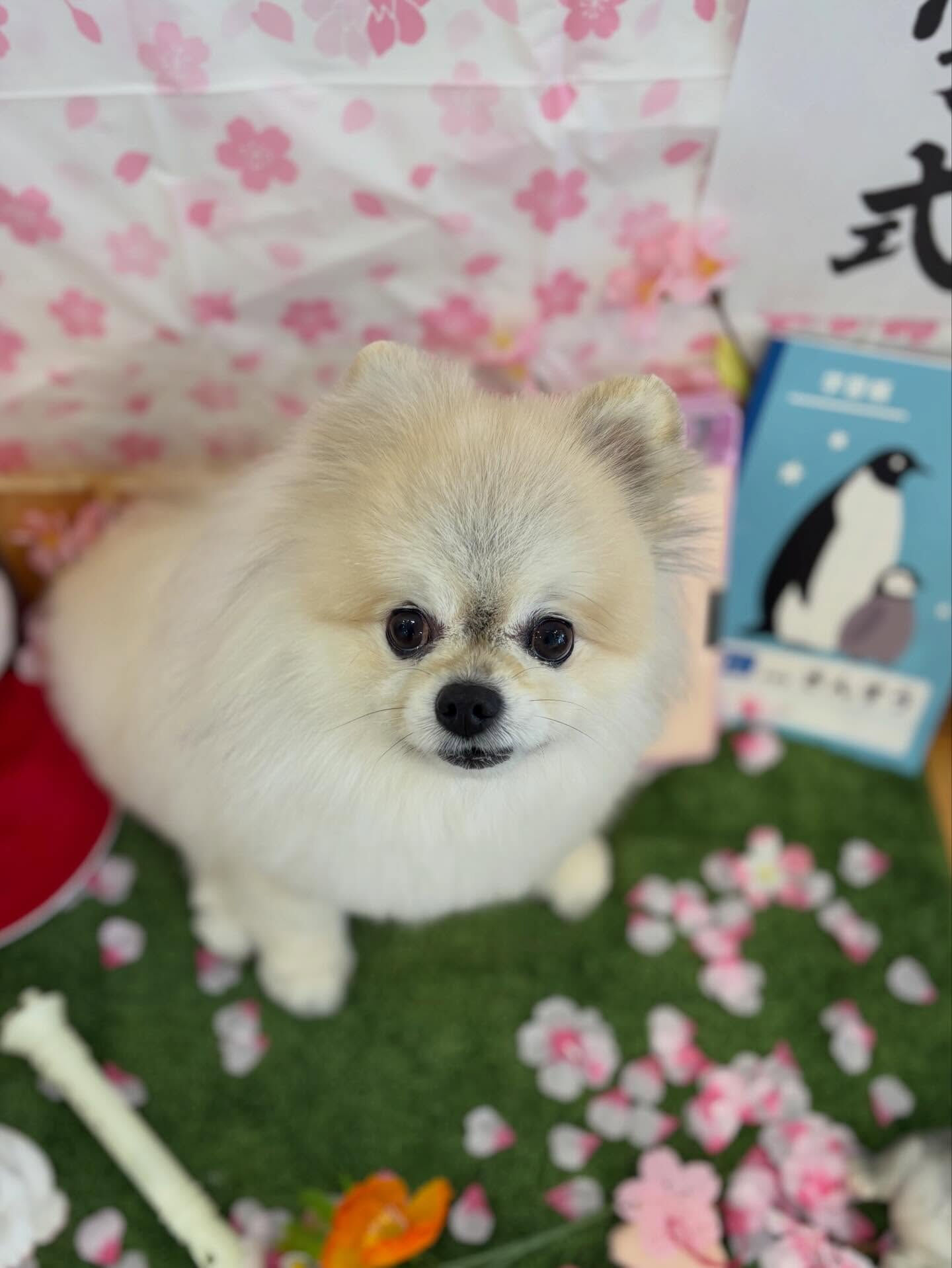 この前の地震怖かったですね