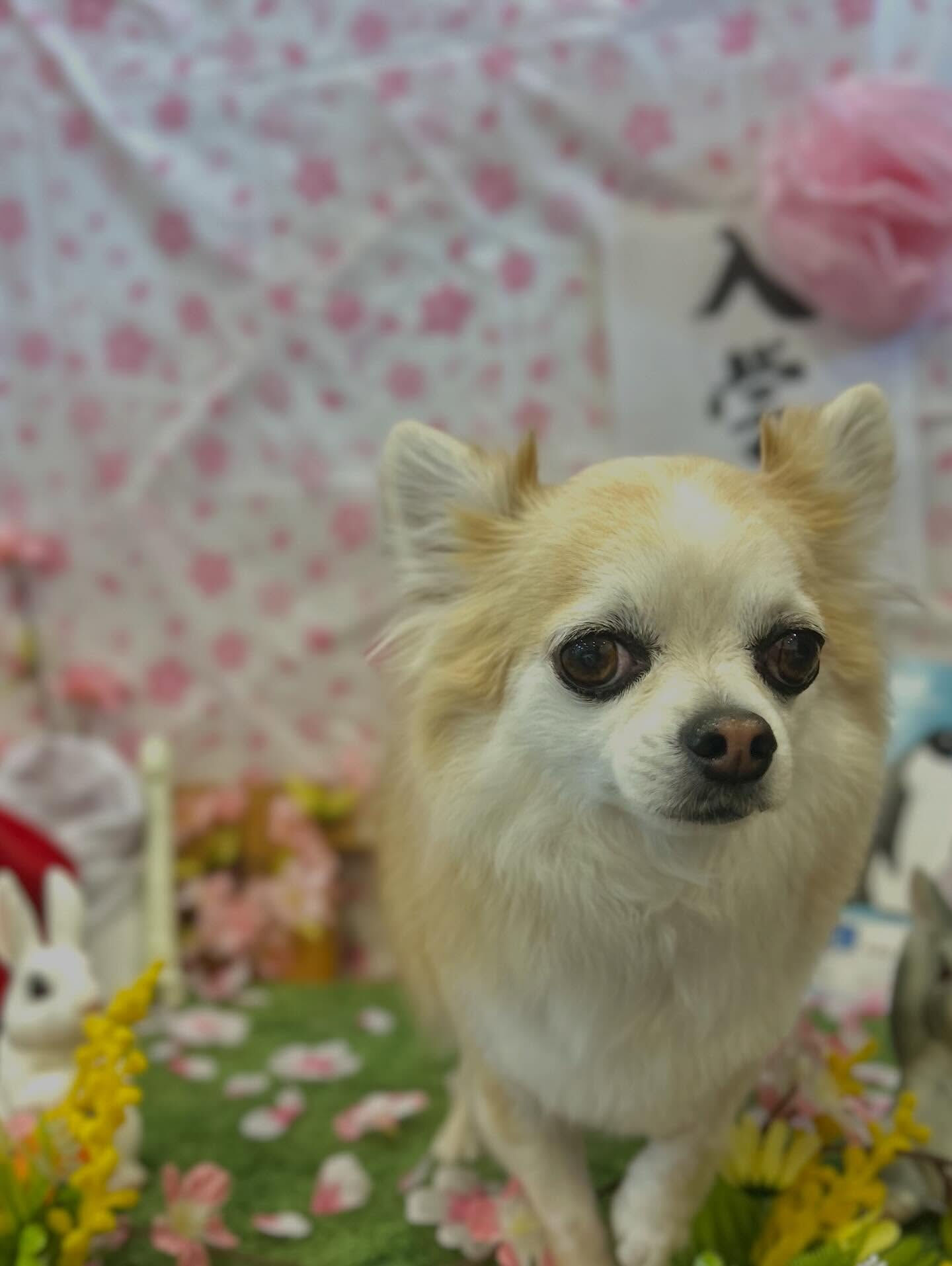 いつもありがとうございます🙇🏻‍♀️