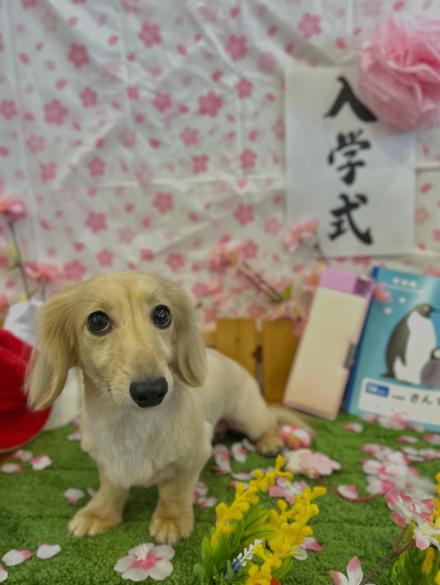 いつもありがとうございます🙇🏻‍♀️
