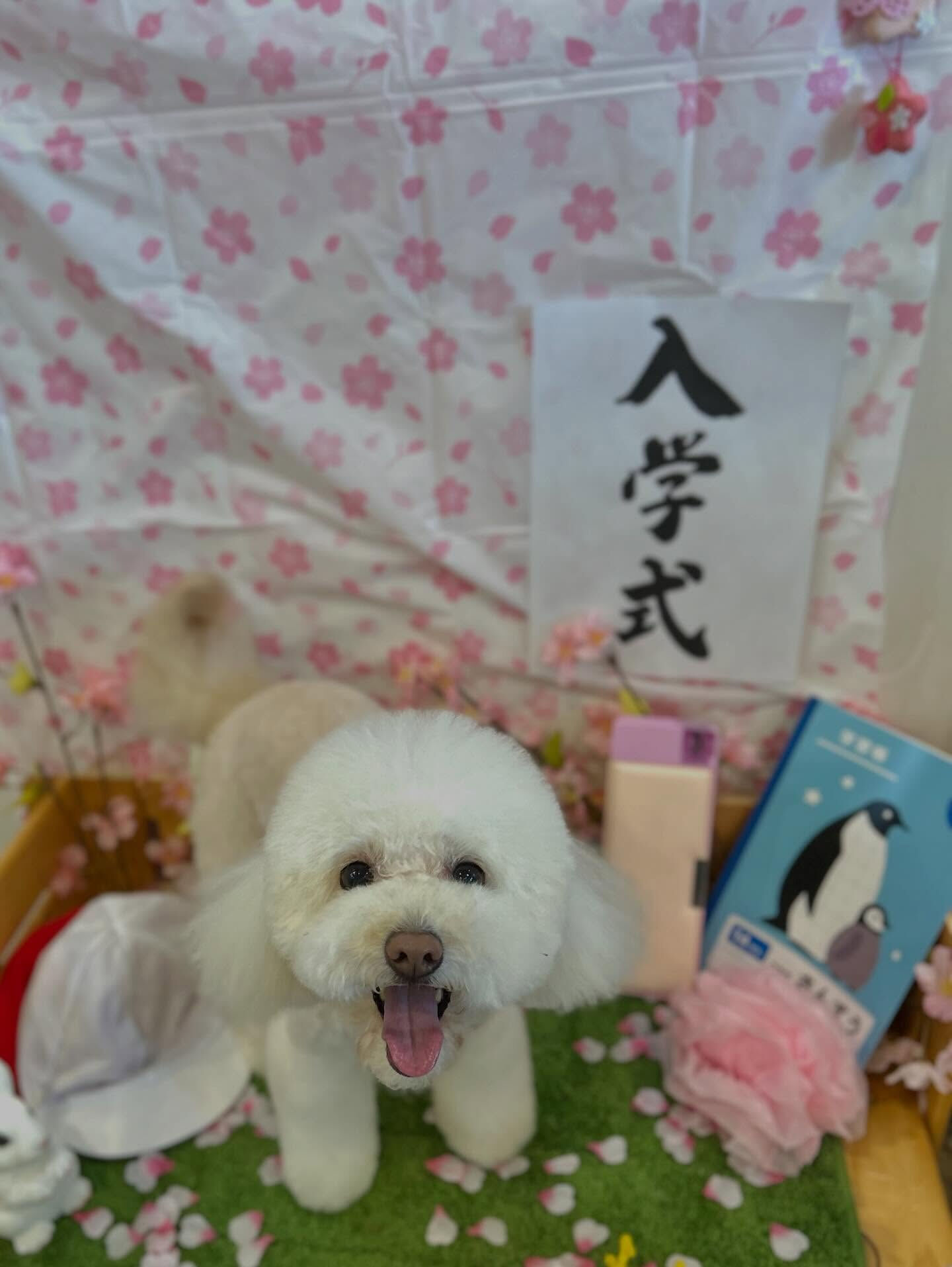 いつもありがとうございます🙇🏻‍♀️