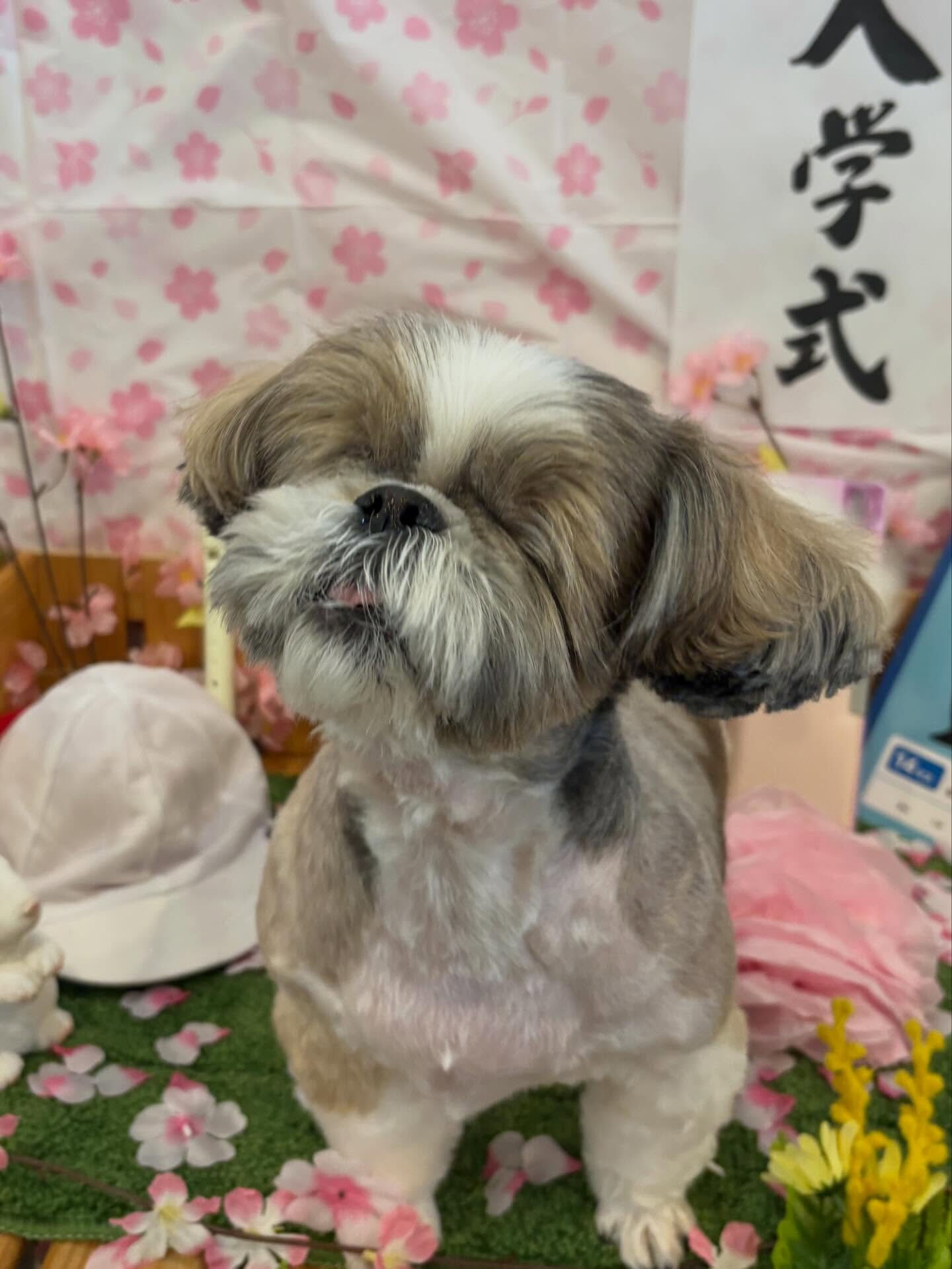 3月も終わっちゃいます