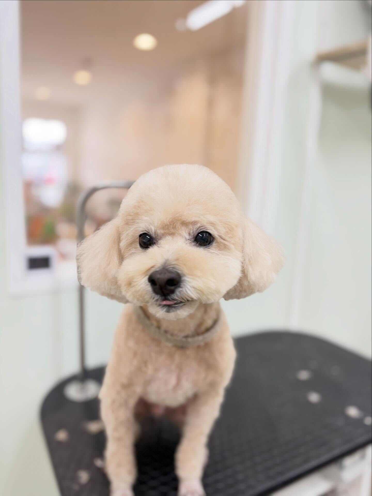 4月になりました🌸