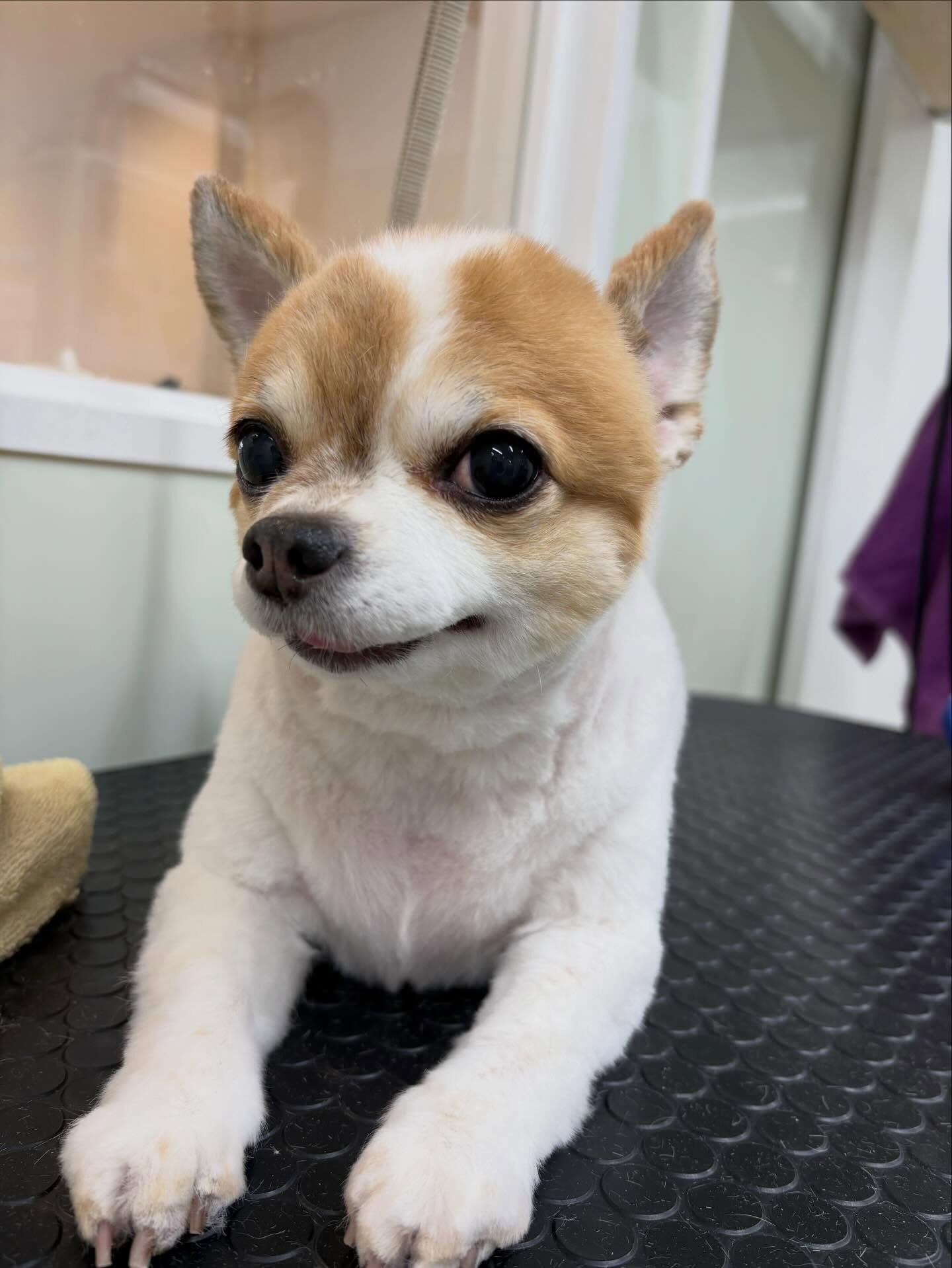 4月になりました🌸