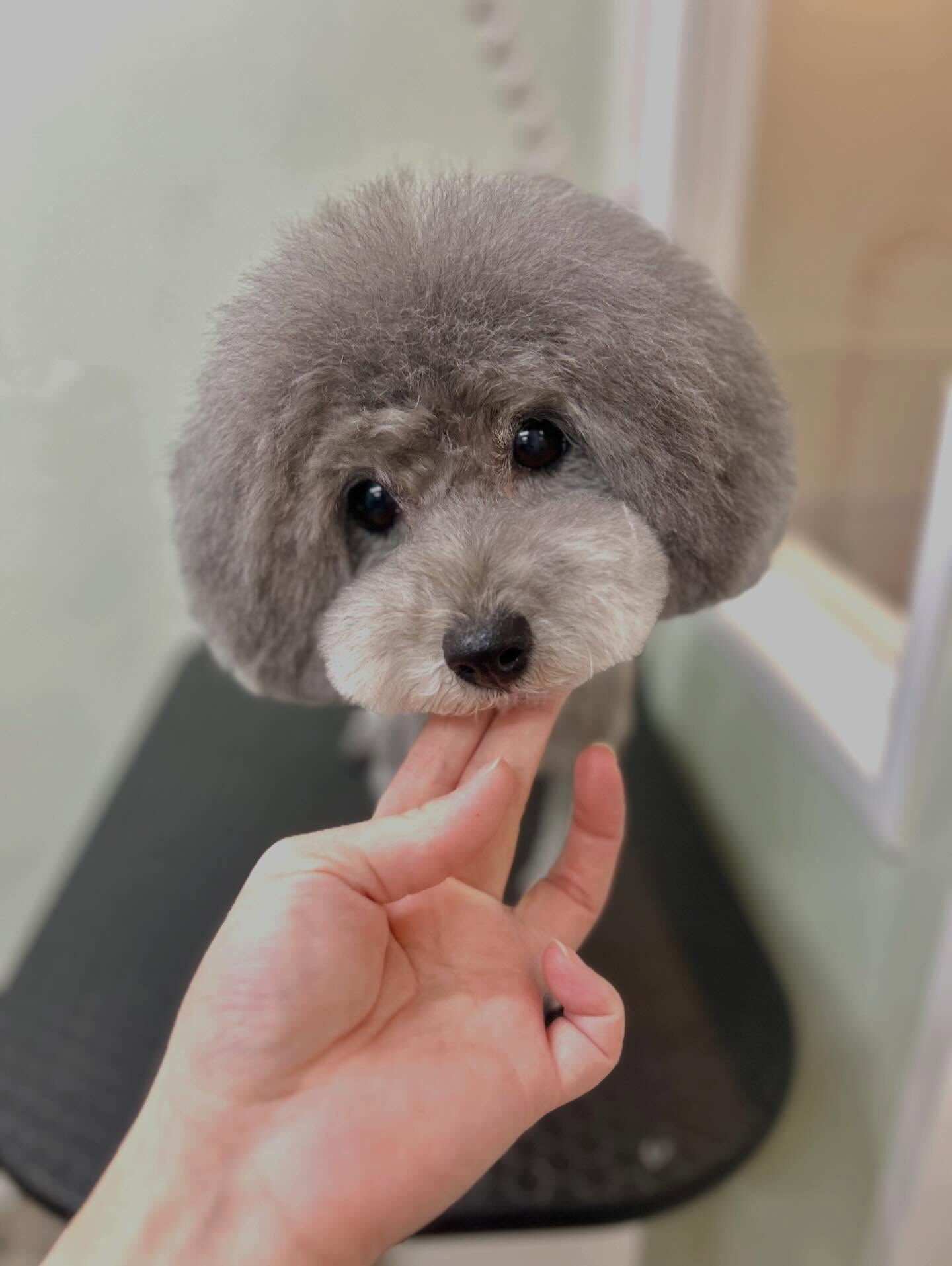 いつもありがとうございます⸜🌷︎⸝‍