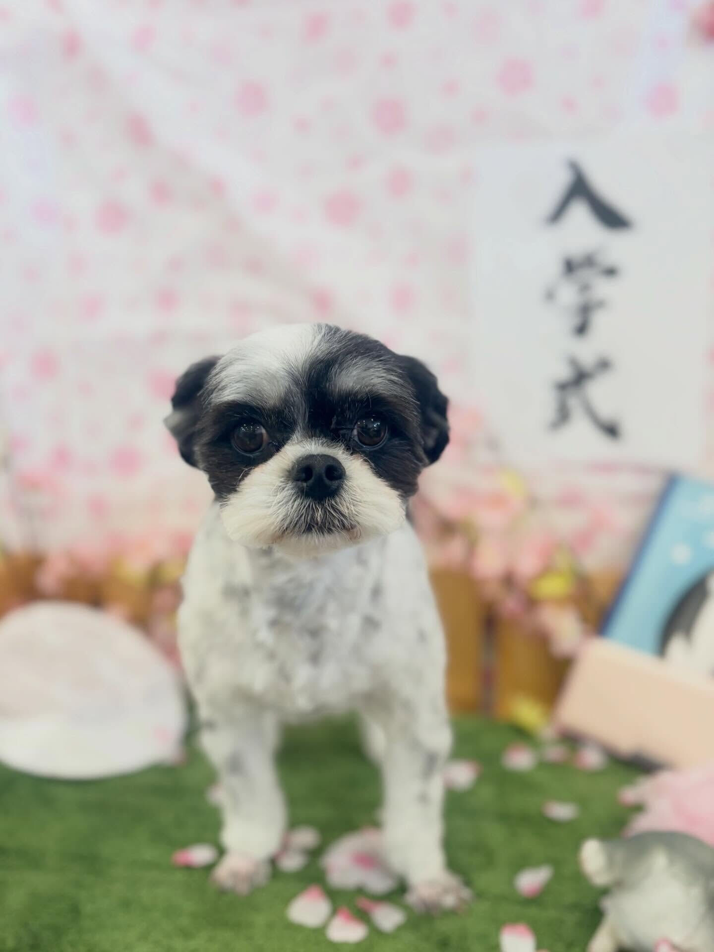 ポカポカ日和〜✨