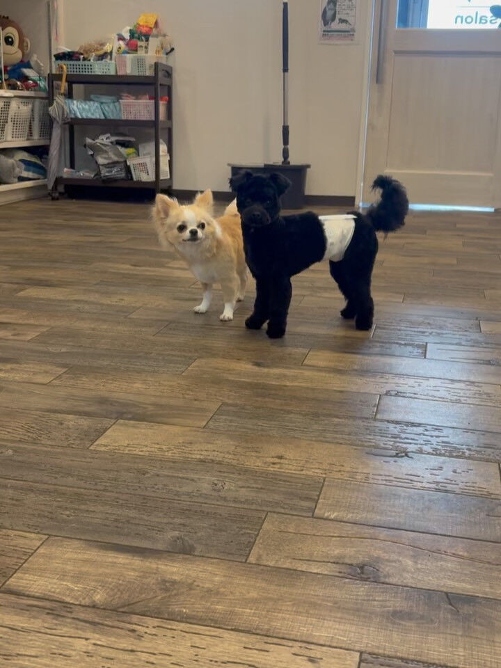 おはようございます☺️