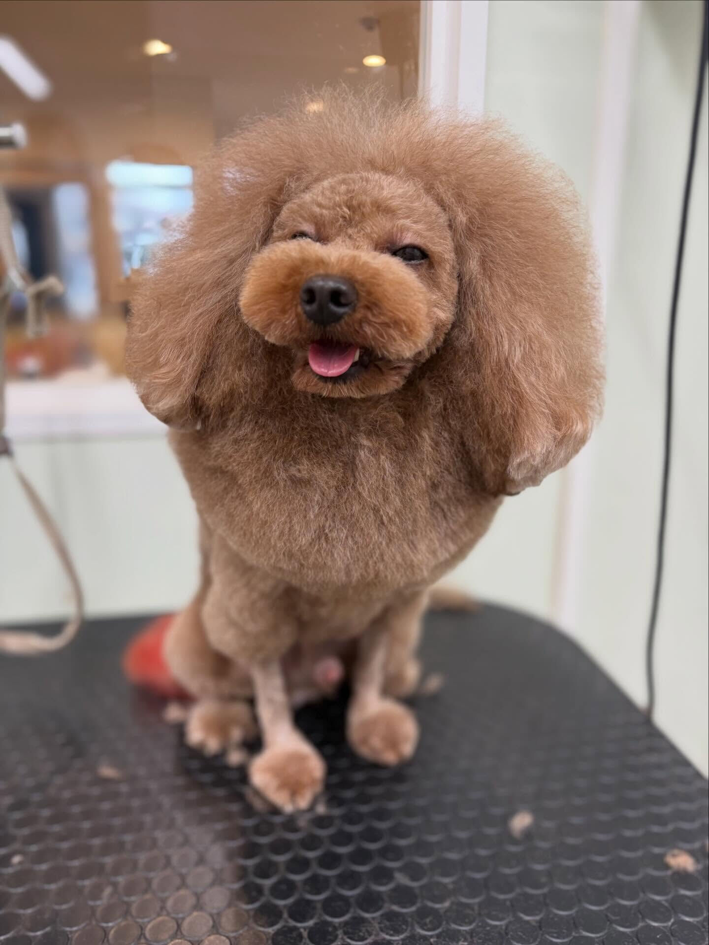おはようございます☺️
